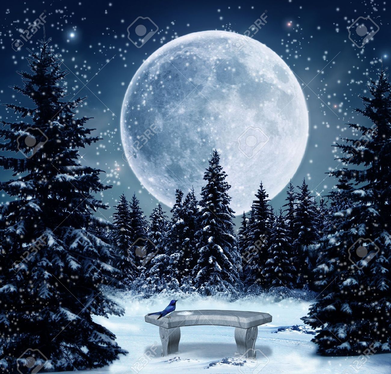 Winter Night High Resolution Wallpaper's Collection