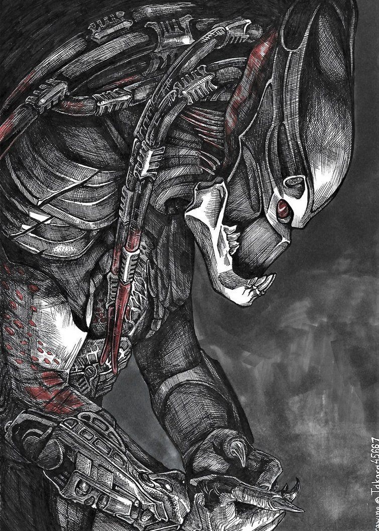 PREDATORS: Berserker. Predator artwork, Predator art, Predator alien art