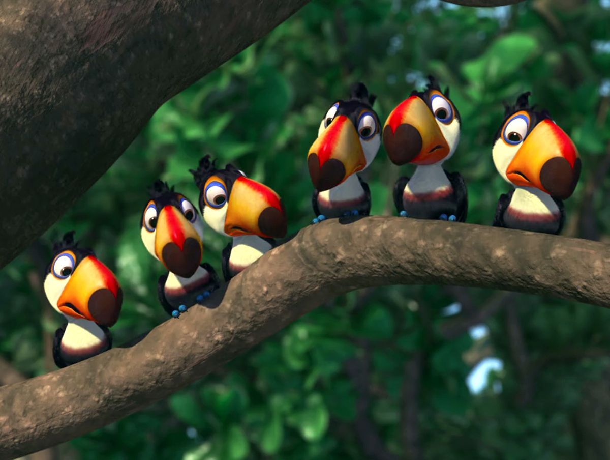 Toucan Kids Wiki. Rio movie, Baby toucan, Toucans