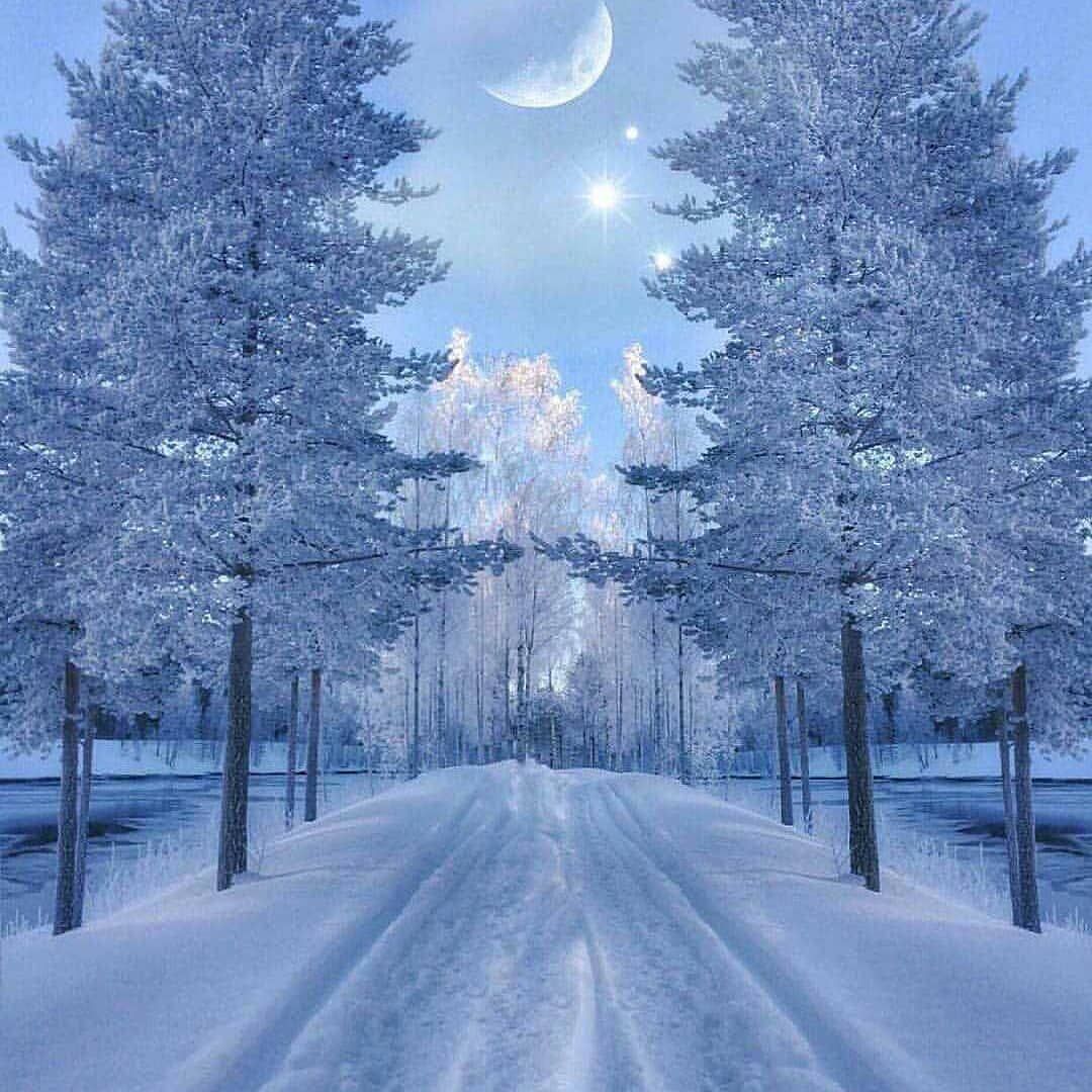 wallpaper #follow #earth #wallpaper #instagram #photography. Winter scenery, Beautiful winter scenes, Winter picture