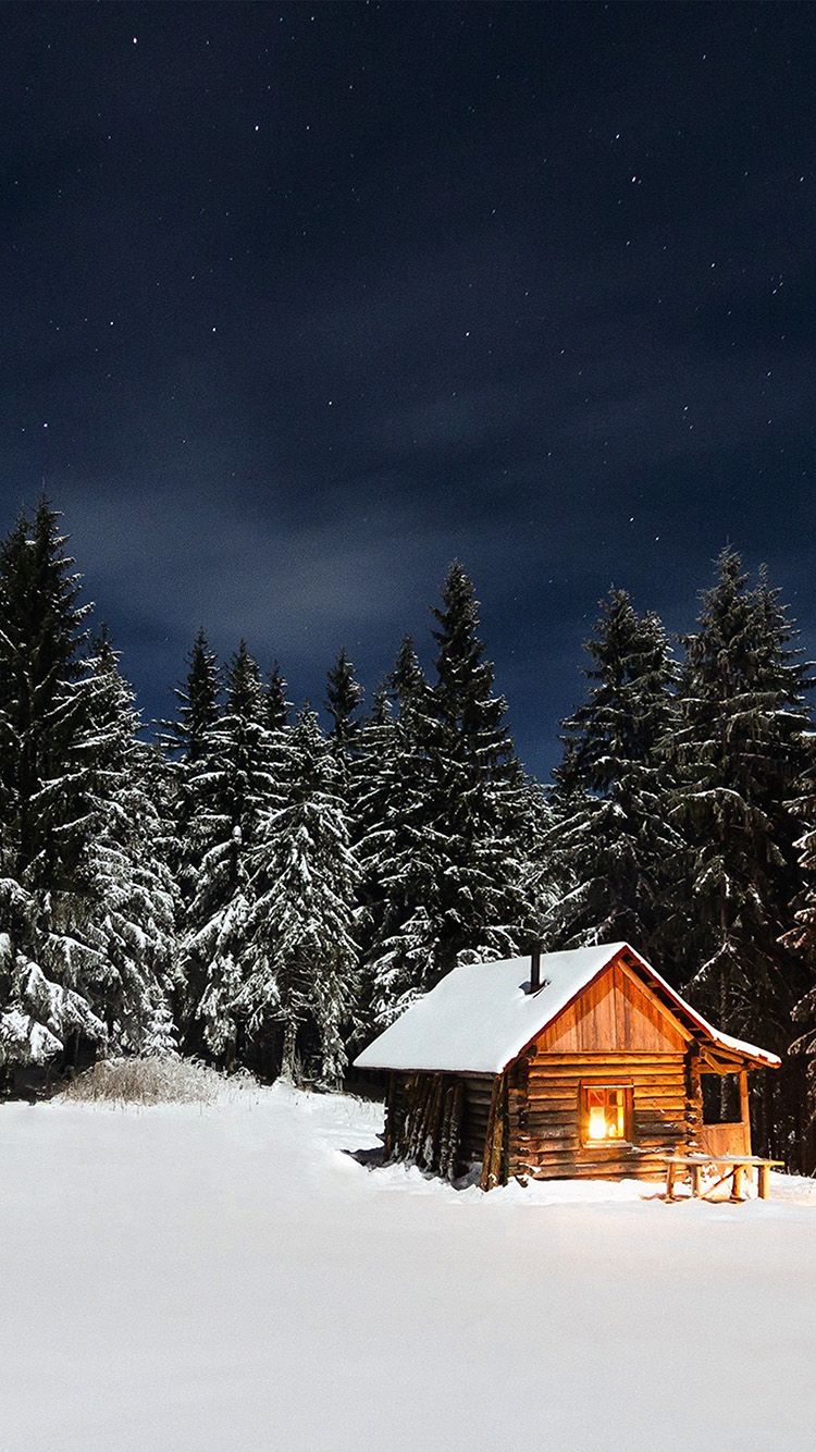 iPhone7 wallpaper. winter house night sky christmas