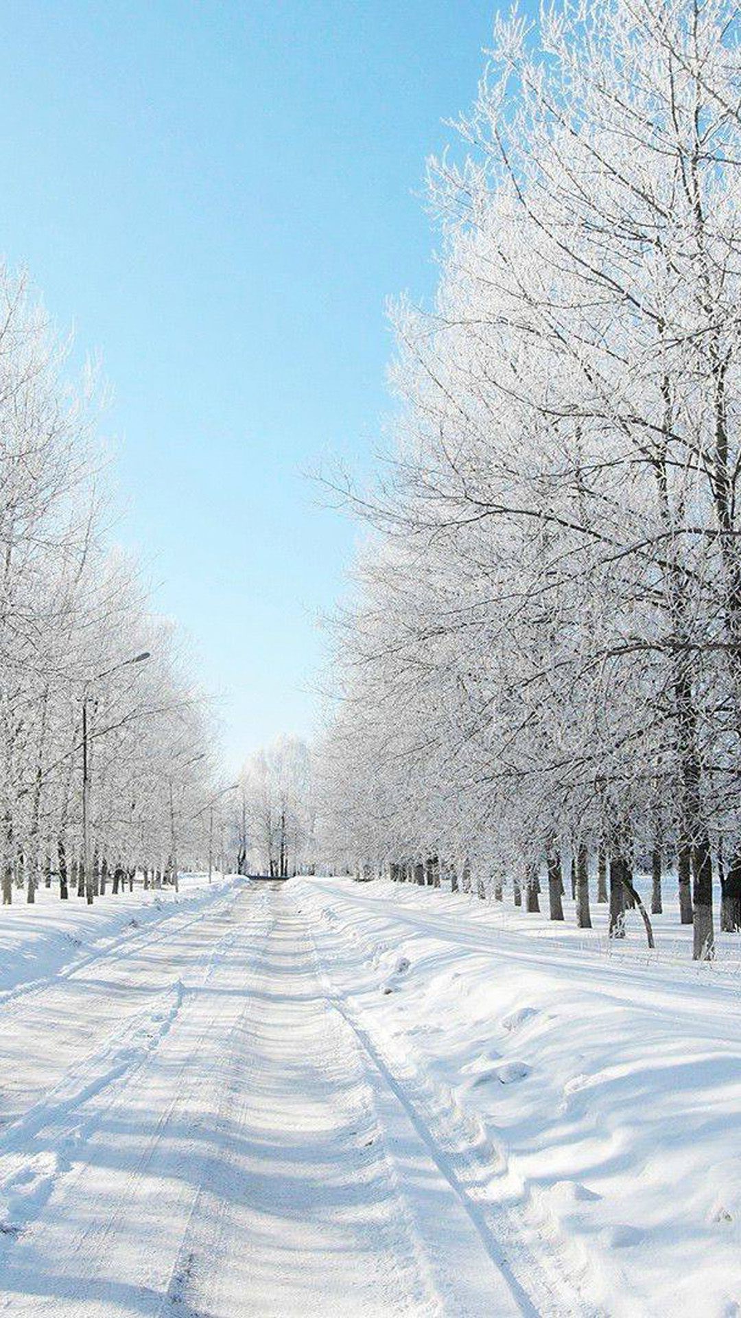 Snow Winter Wallpaper iPhone