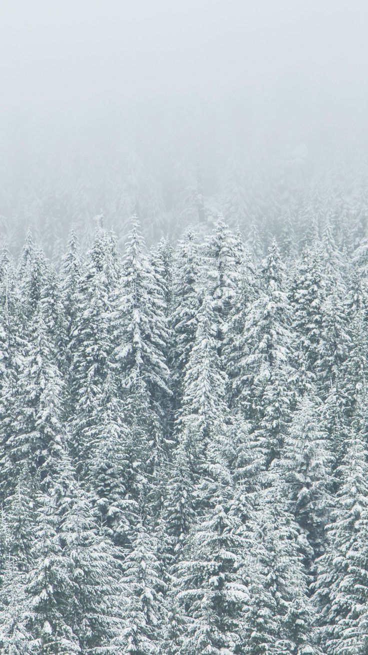 Adventurous Forest & Mountain iPhone 7 Wallpaper. Preppy Wallpaper. iPhone wallpaper winter, iPhone 7 wallpaper, Snow forest