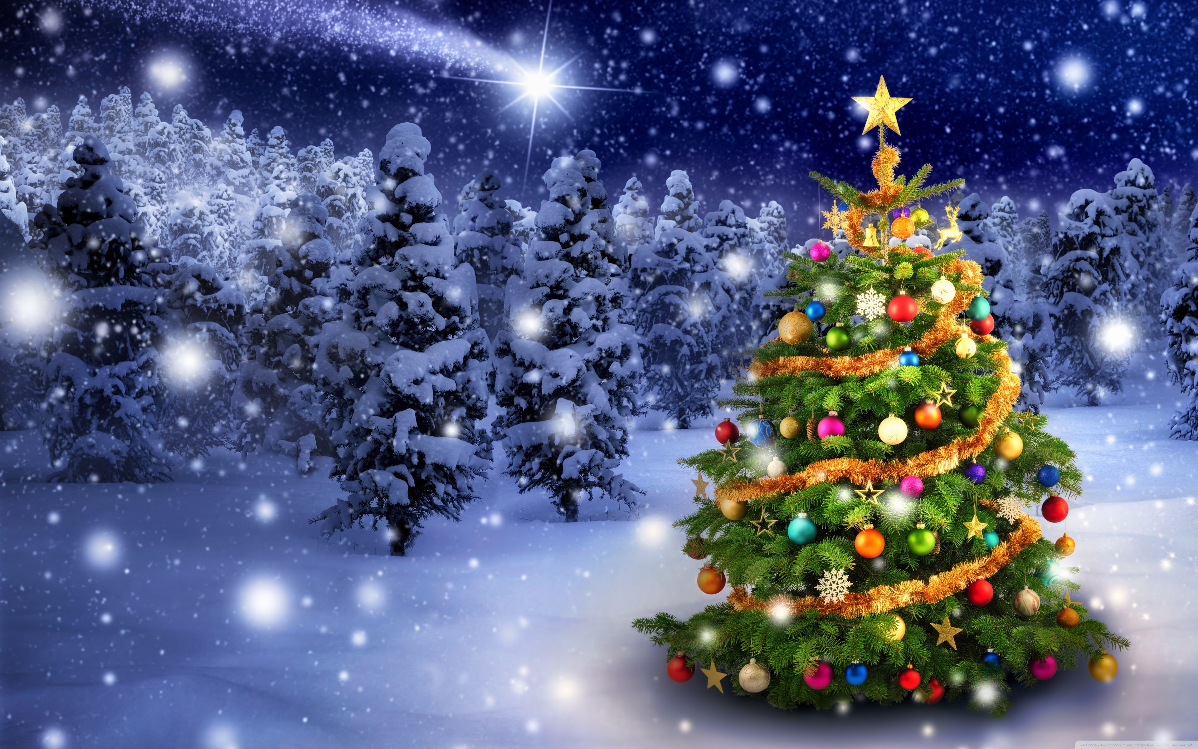 Awesome Background Christmas Scene Wallpaper HD Photo