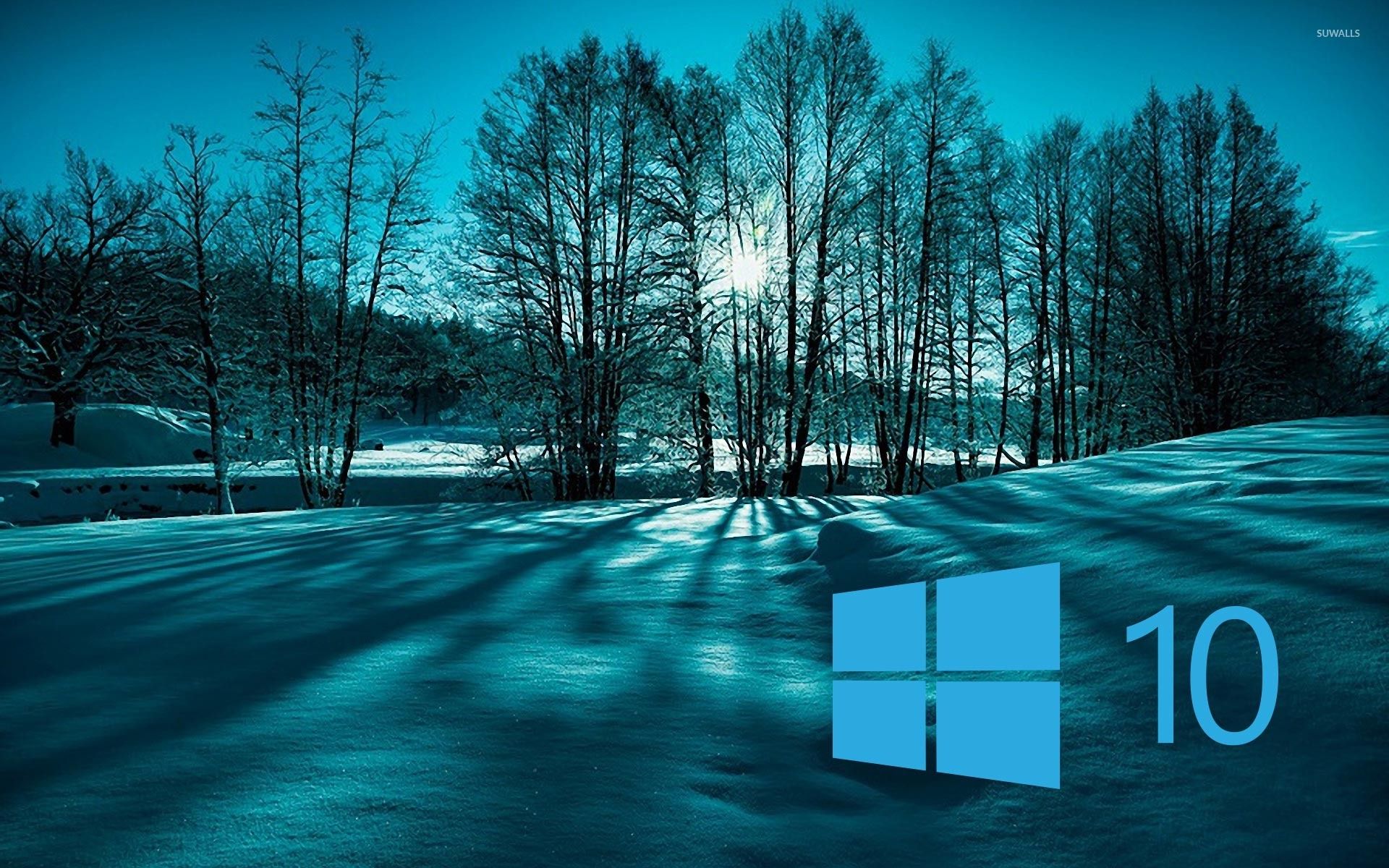 Windows 10 on snowy trees simple blue logo wallpaper wallpaper
