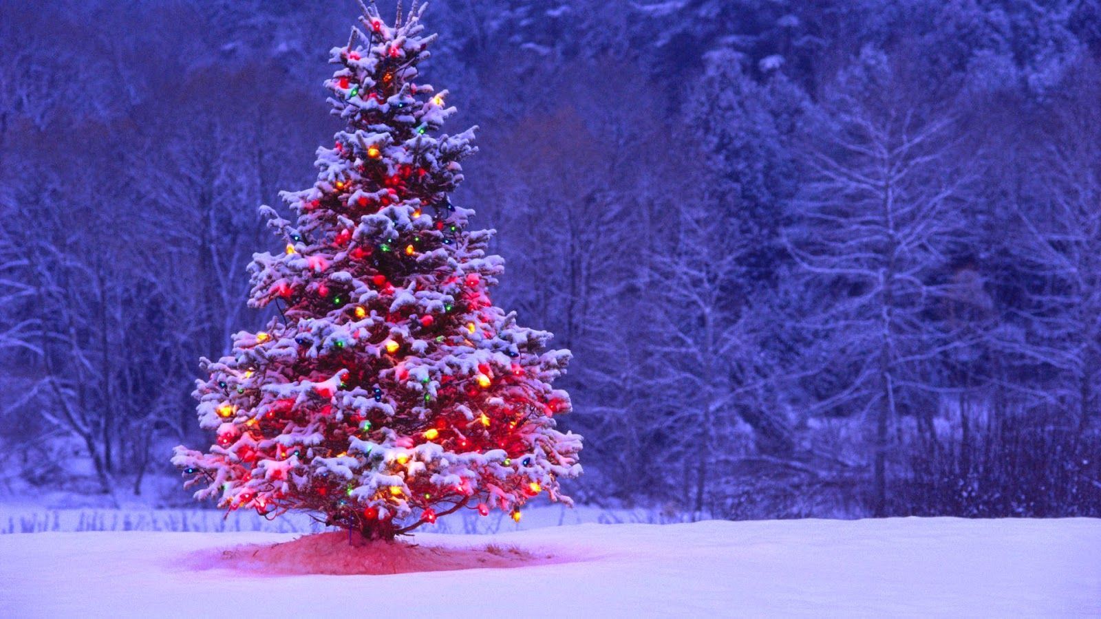 Merry Christmas Picture. Christmas tree wallpaper, Animated christmas wallpaper, Christmas desktop wallpaper