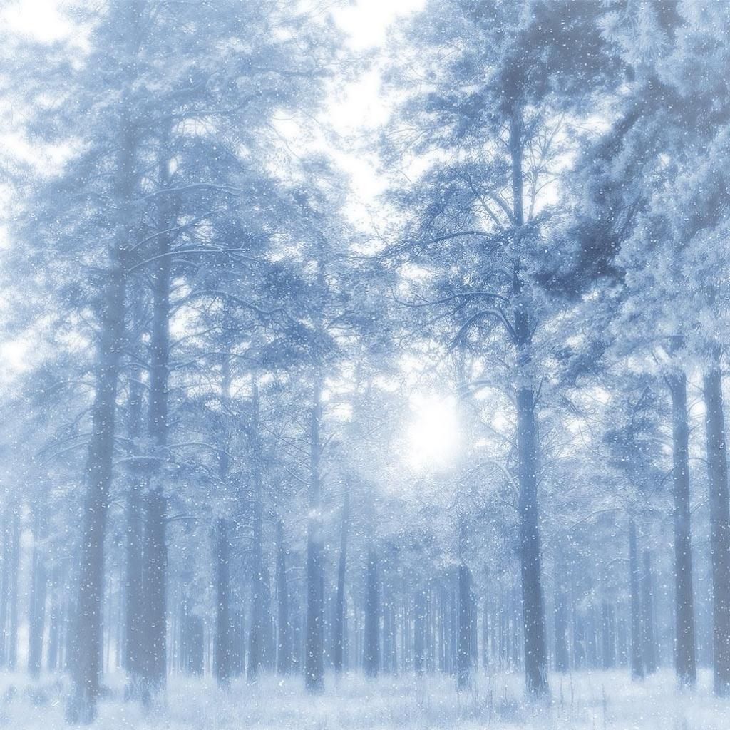Winter Blues. Anime snow, Landscape wallpaper, Snow forest