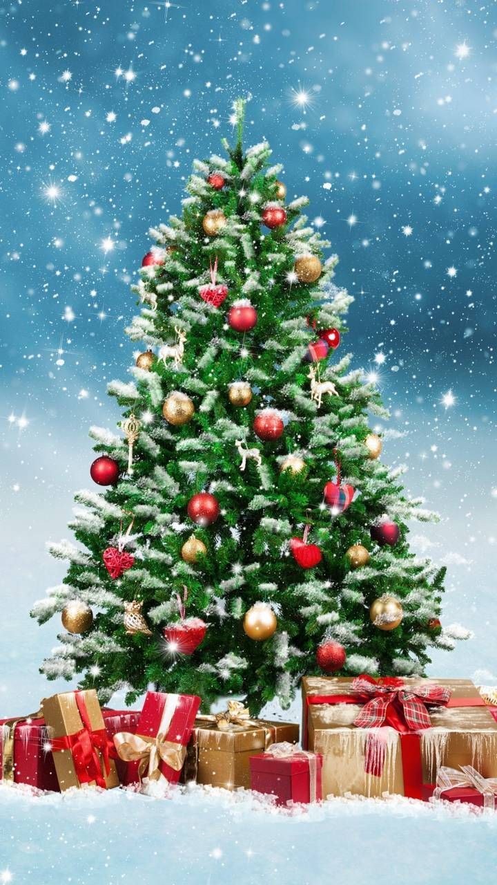 Download Christmas Tree Wallpaper by P3TR1T now. Browse mi. Christmas tree wallpaper, Christmas tree image, Christmas wallpaper background