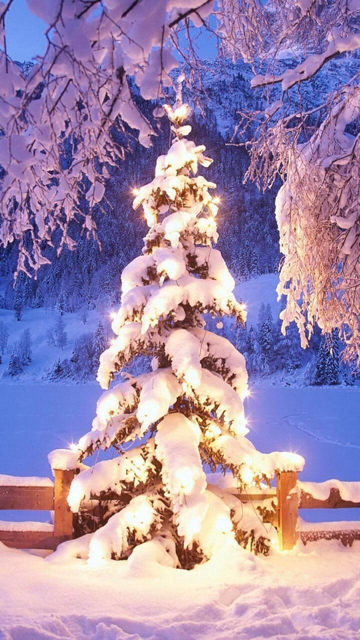 Christmas Tree Wallpaper HD for Android