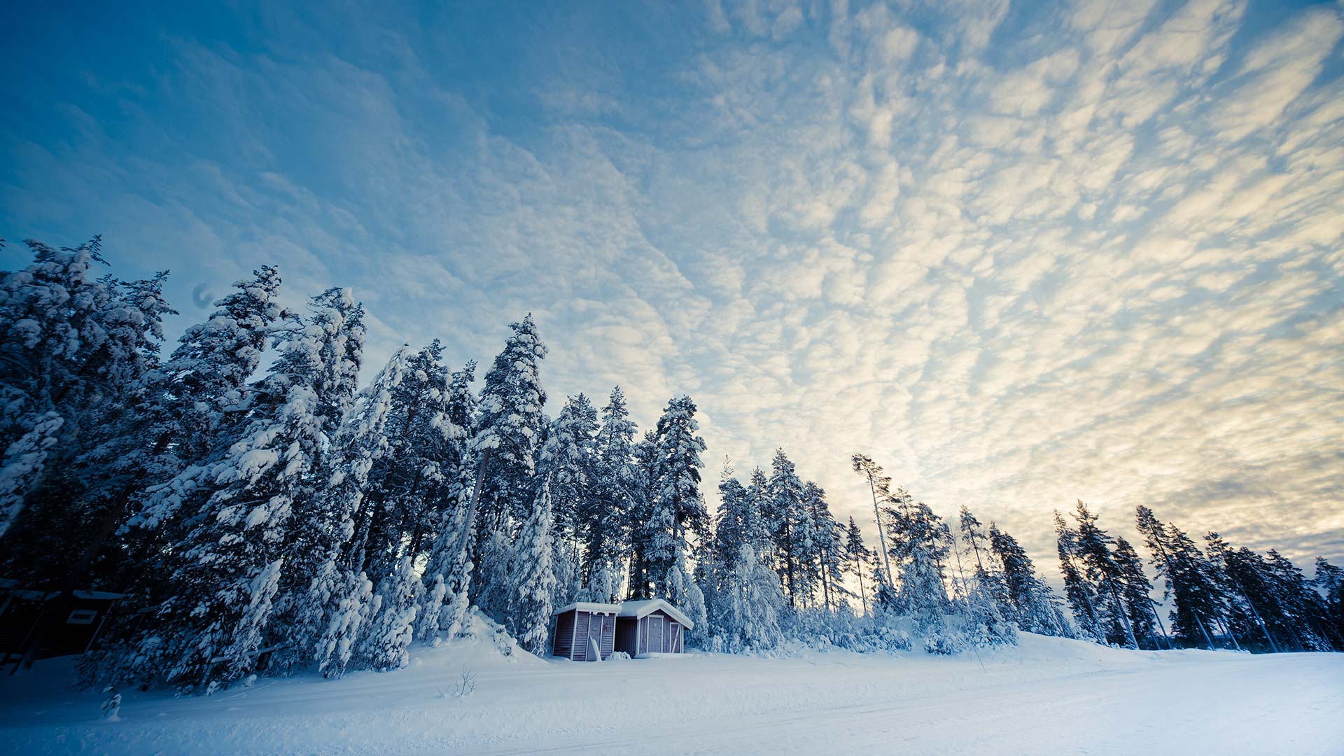 Winter Sweden Wallpaper HD