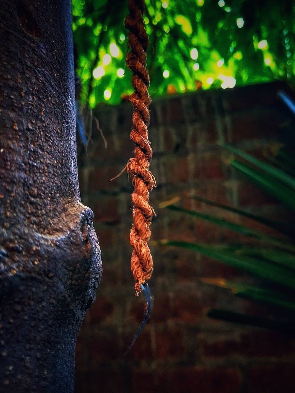 Nature lover wallpaper