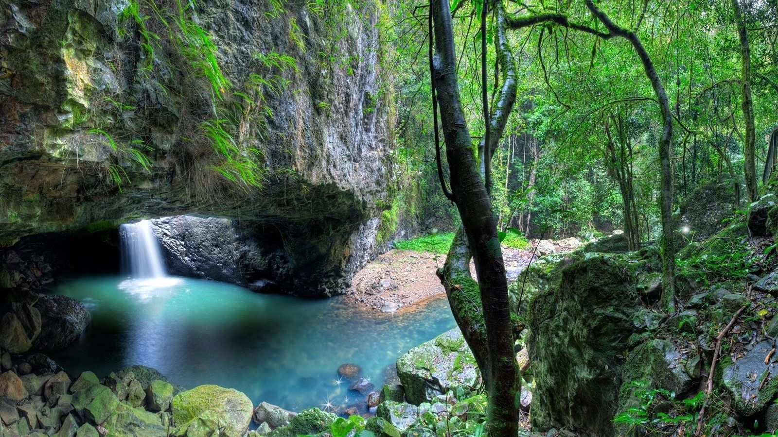 Free download Nature HD Wallpaper Love Nature Taste Wallpaper [1600x900] for your Desktop, Mobile & Tablet. Explore HD Wallpaper Of Nature. Beautiful Nature Wallpaper HD, Nature HD Wallpaper 1080p