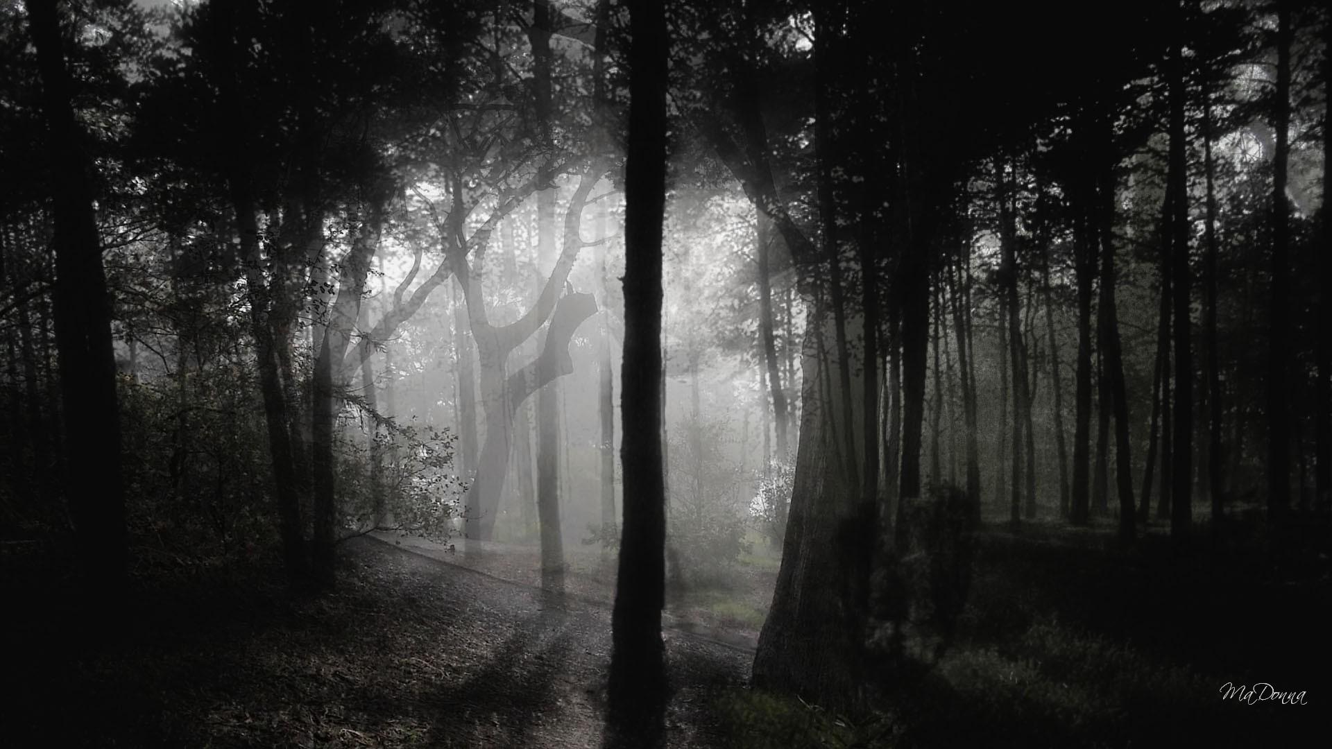 Gothic Image In The Woods Wallpaper & Background Download
