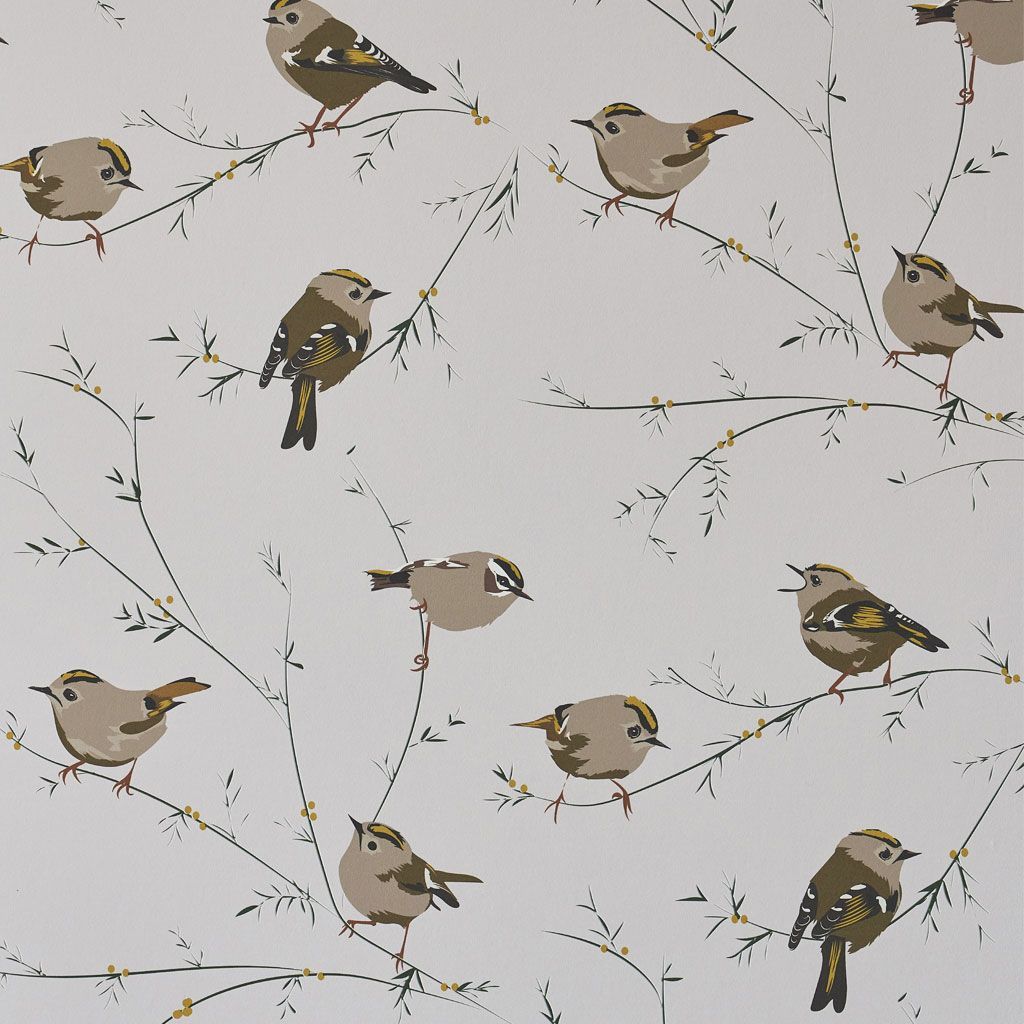 Goldcrest Wallpaper. Blush pink wallpaper, Bird wallpaper, Pink wallpaper design