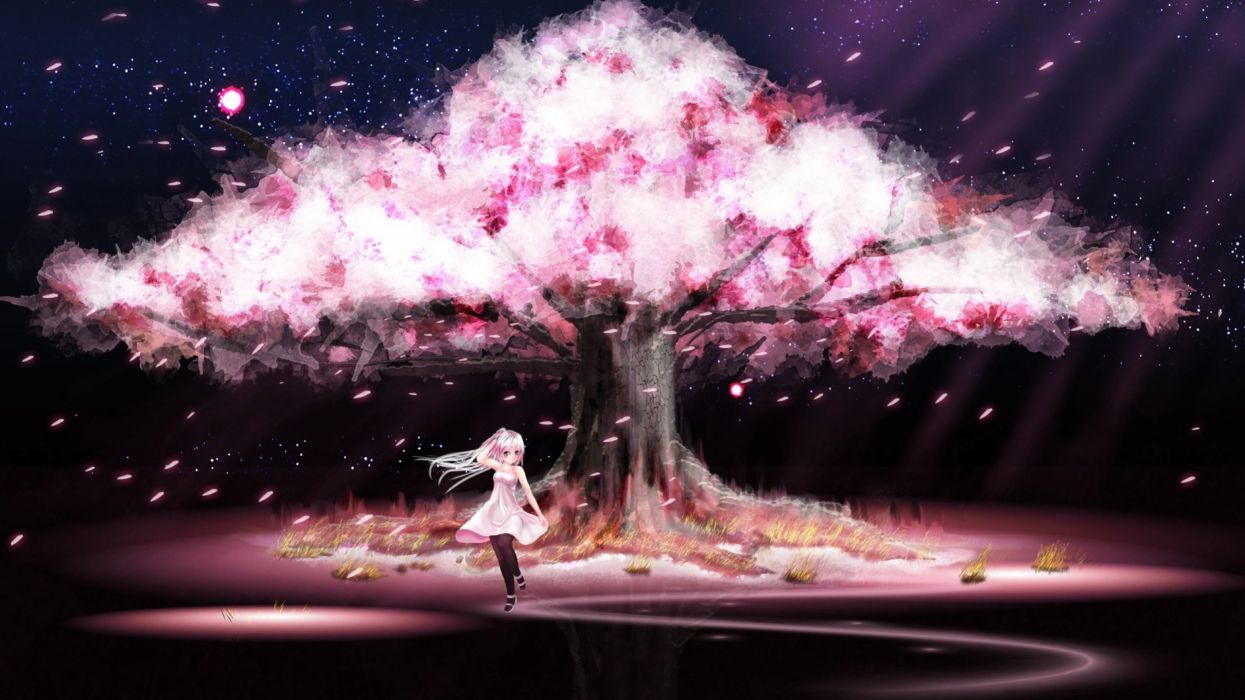 Girl Anime Scenery Cherry Blossoms dress cute wallpaperx1440
