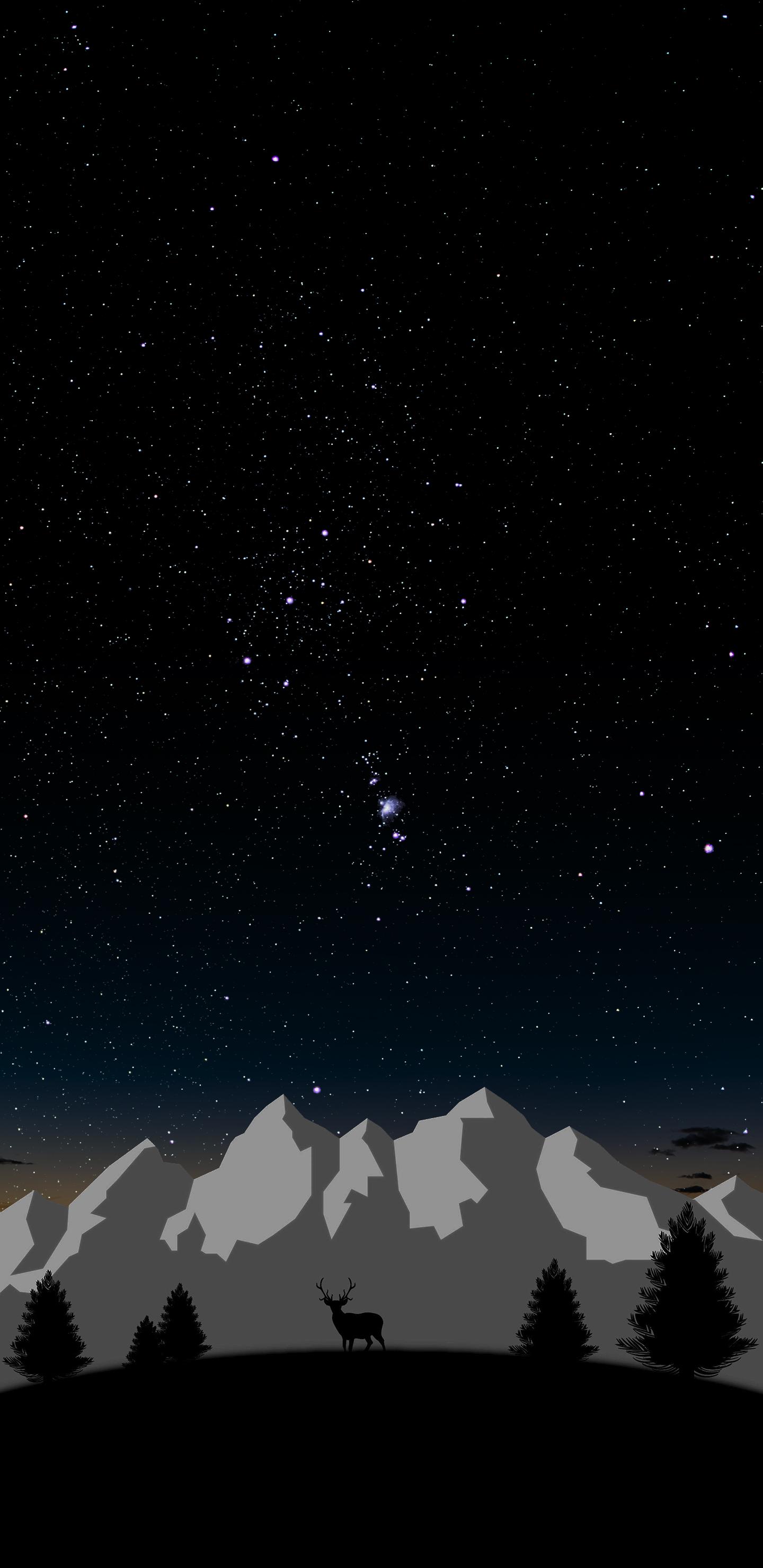 Nature wallpaper with Orion (1440x2960)