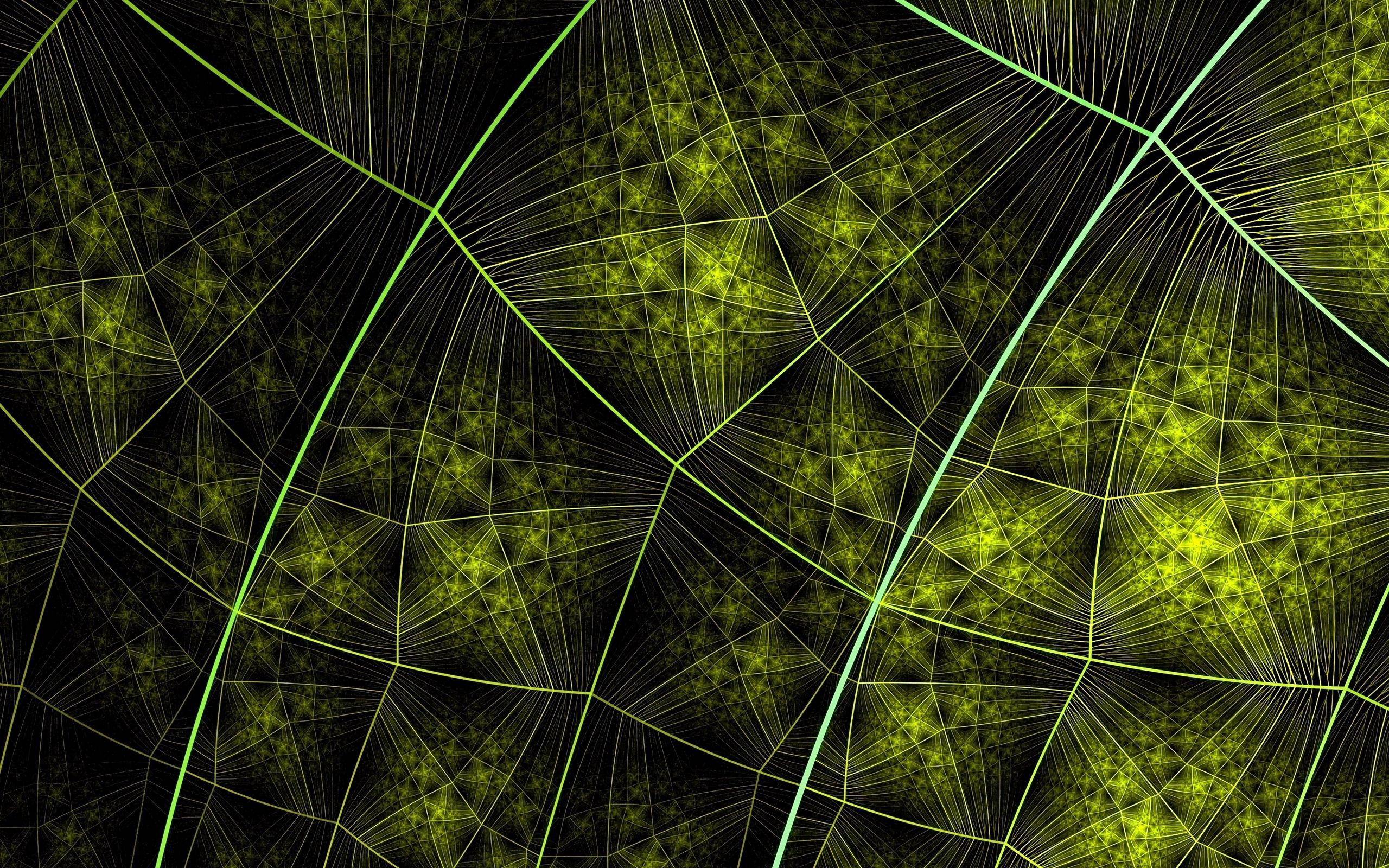 Leaf Texture, 4k, Macro, Green Leaf Background, Ecology