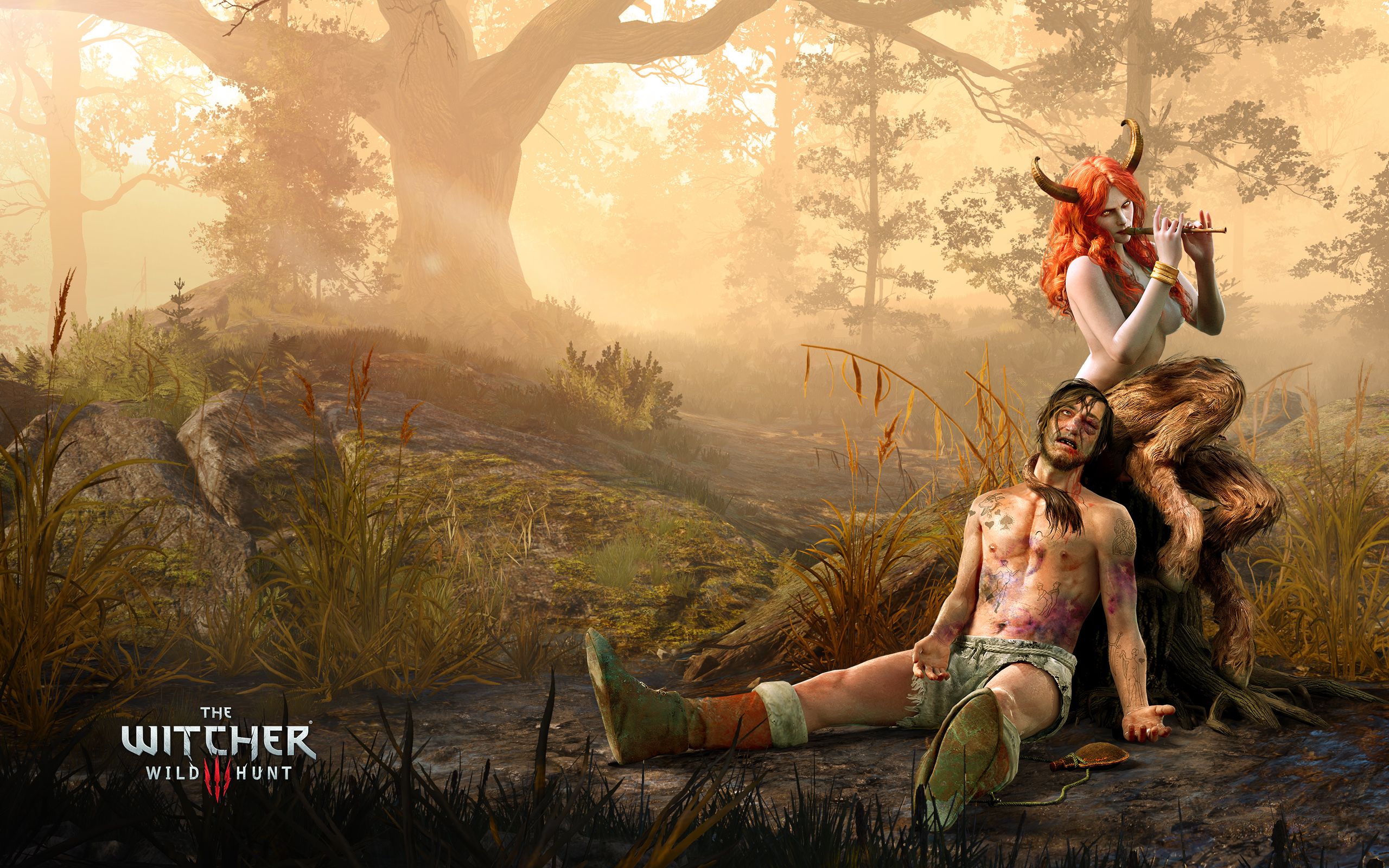 The Witcher Wild Hunt The Succubus HD wallpaper