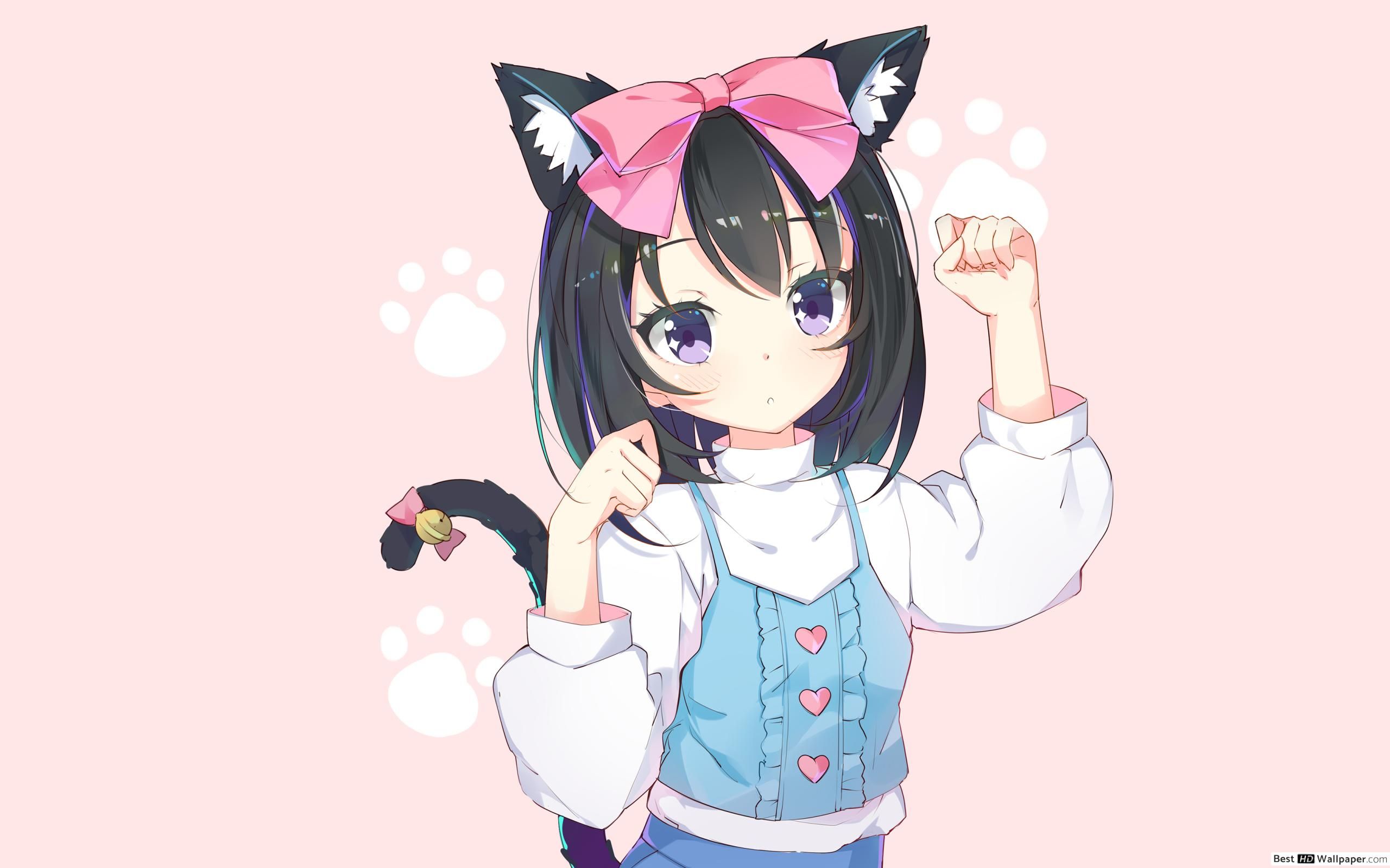 Adorable Cat Girl HD wallpaper download