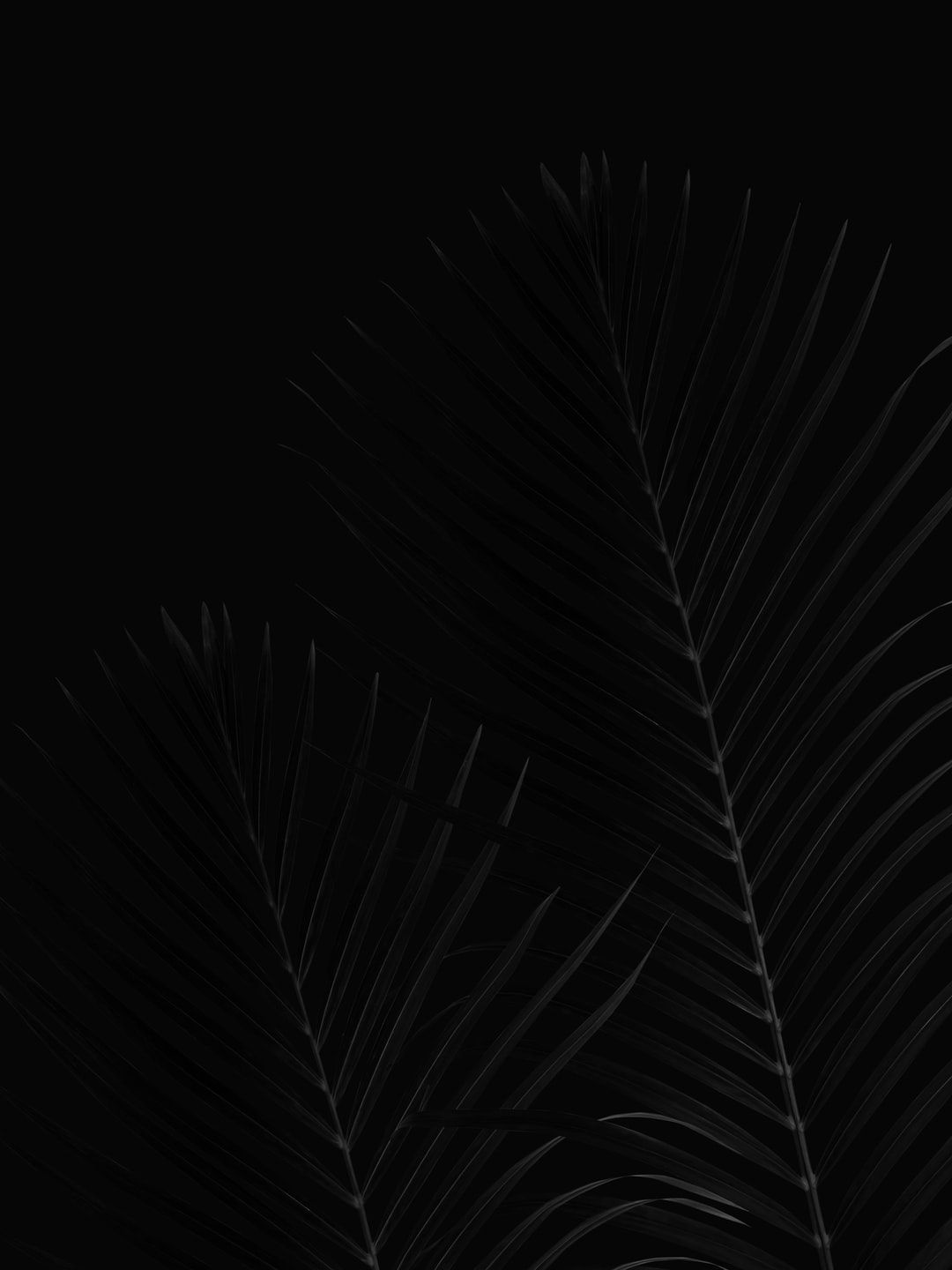 AMOLED Wallpaper: Free HD Download [HQ]