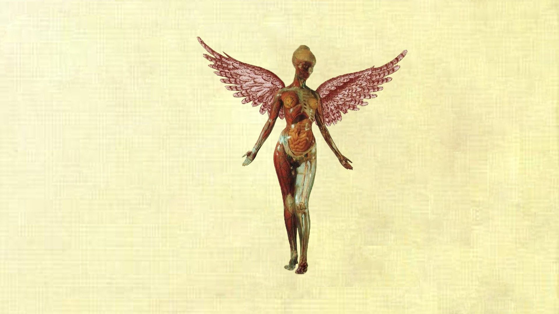 A In Utero desktop background I made