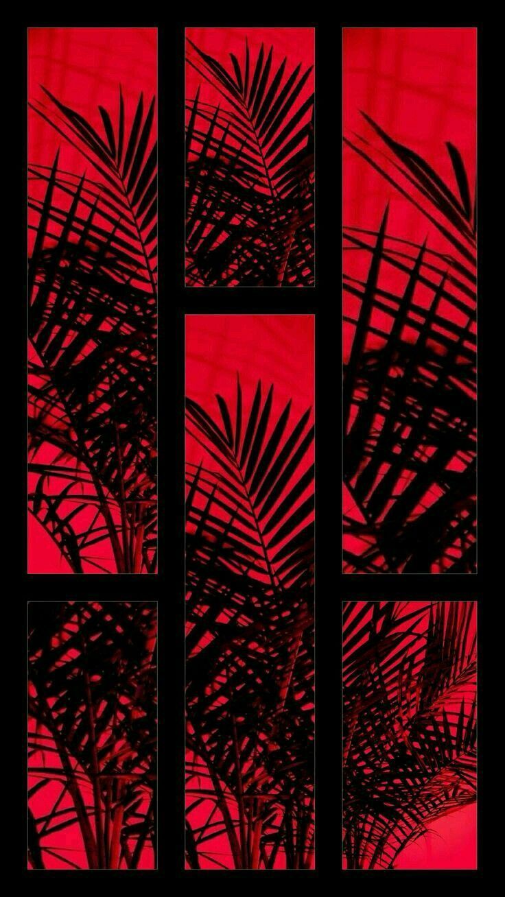 Red and black aesthetic  Red and black wallpaper, Red and black  background, Dark red wallpaper