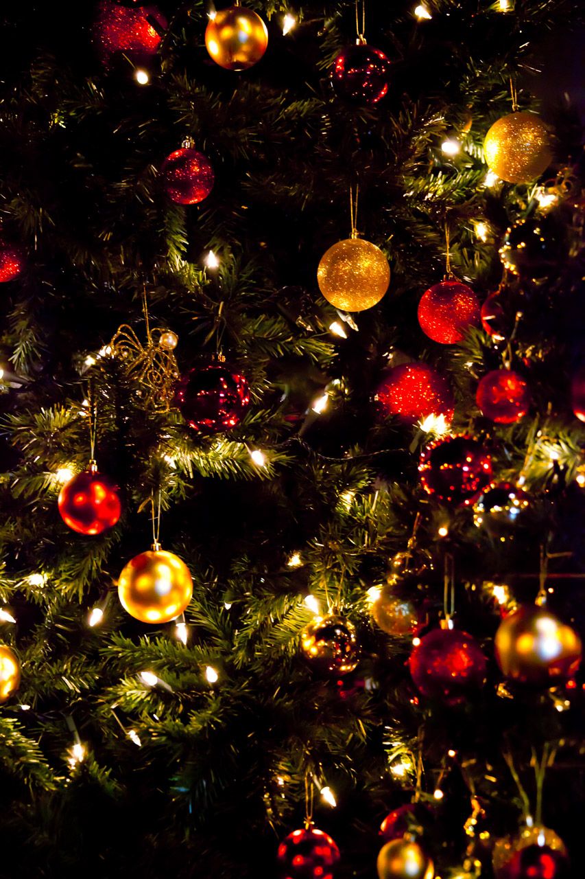 Christmas Tree Wallpaper Free Domain Picture