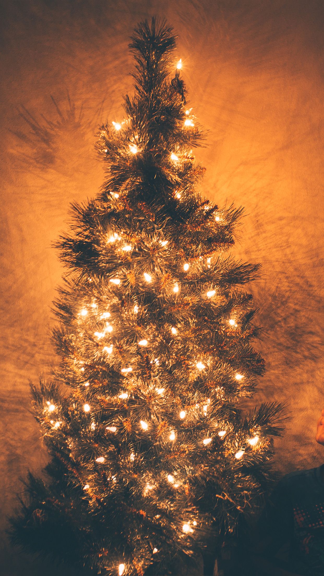 iPhone7 wallpaper. christmas tree light holiday tree nature
