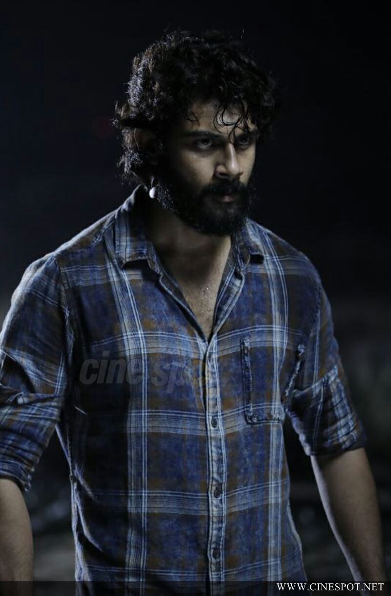 Anson Paul in Abrahaminte Santhathikal