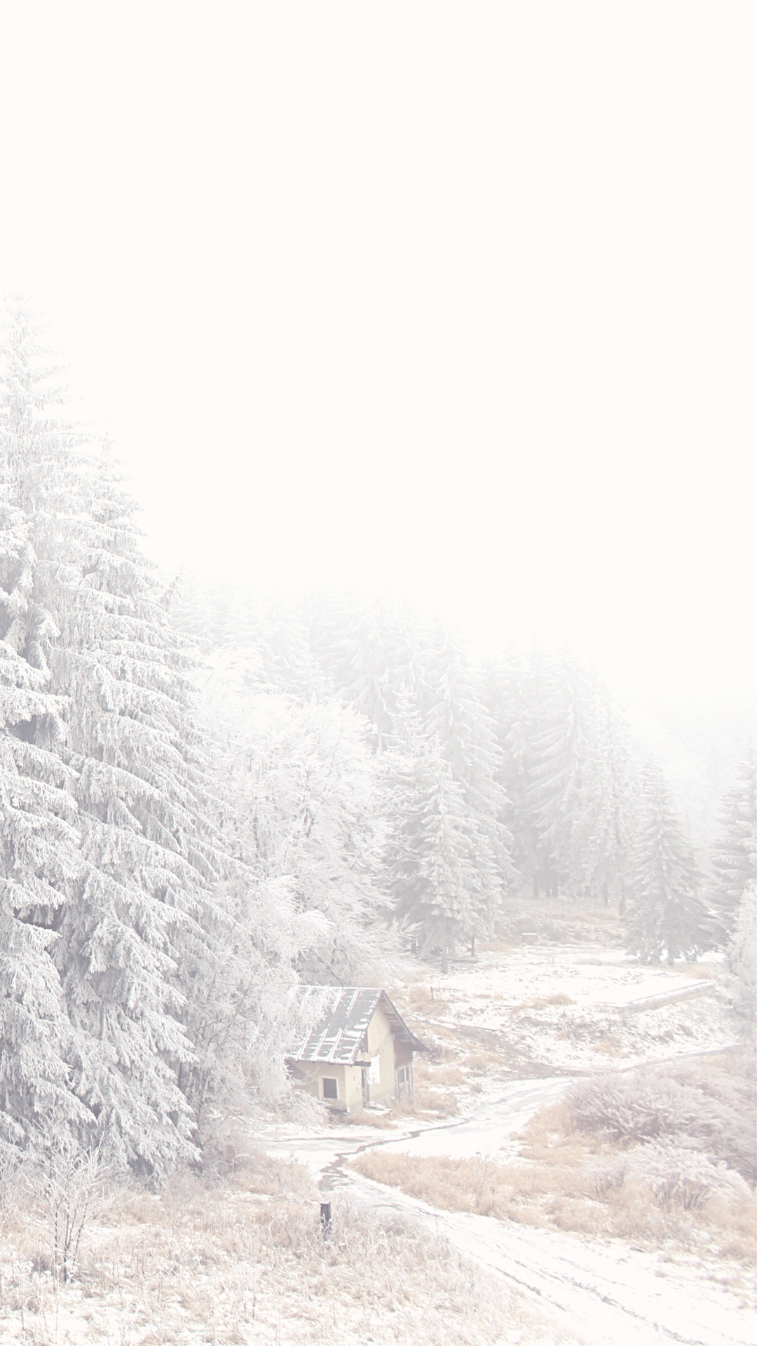 Free Aesthetic iPhone Background & Widgets. Guitar & Lace