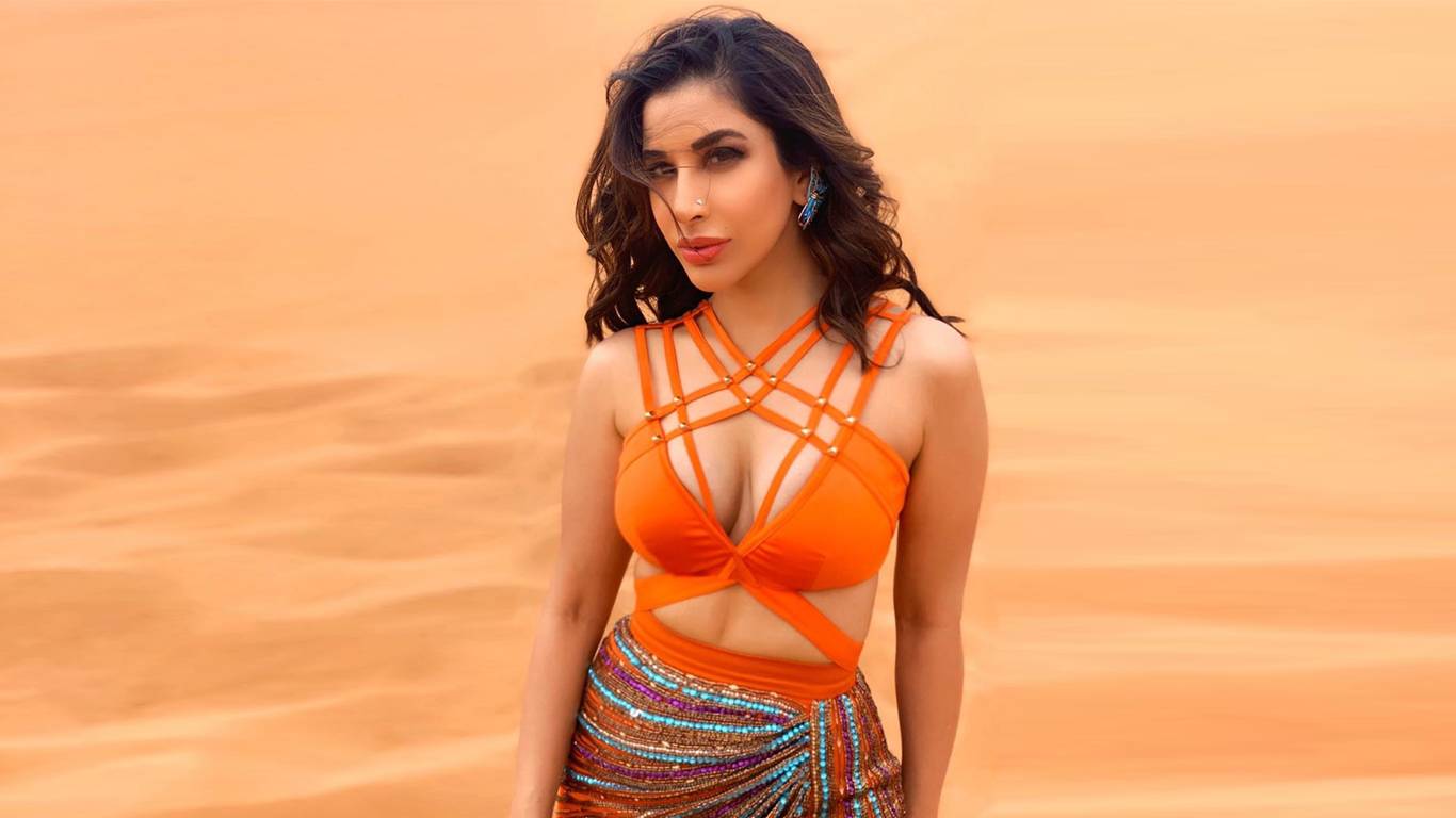 Sophie Choudry HD Wallpapers.