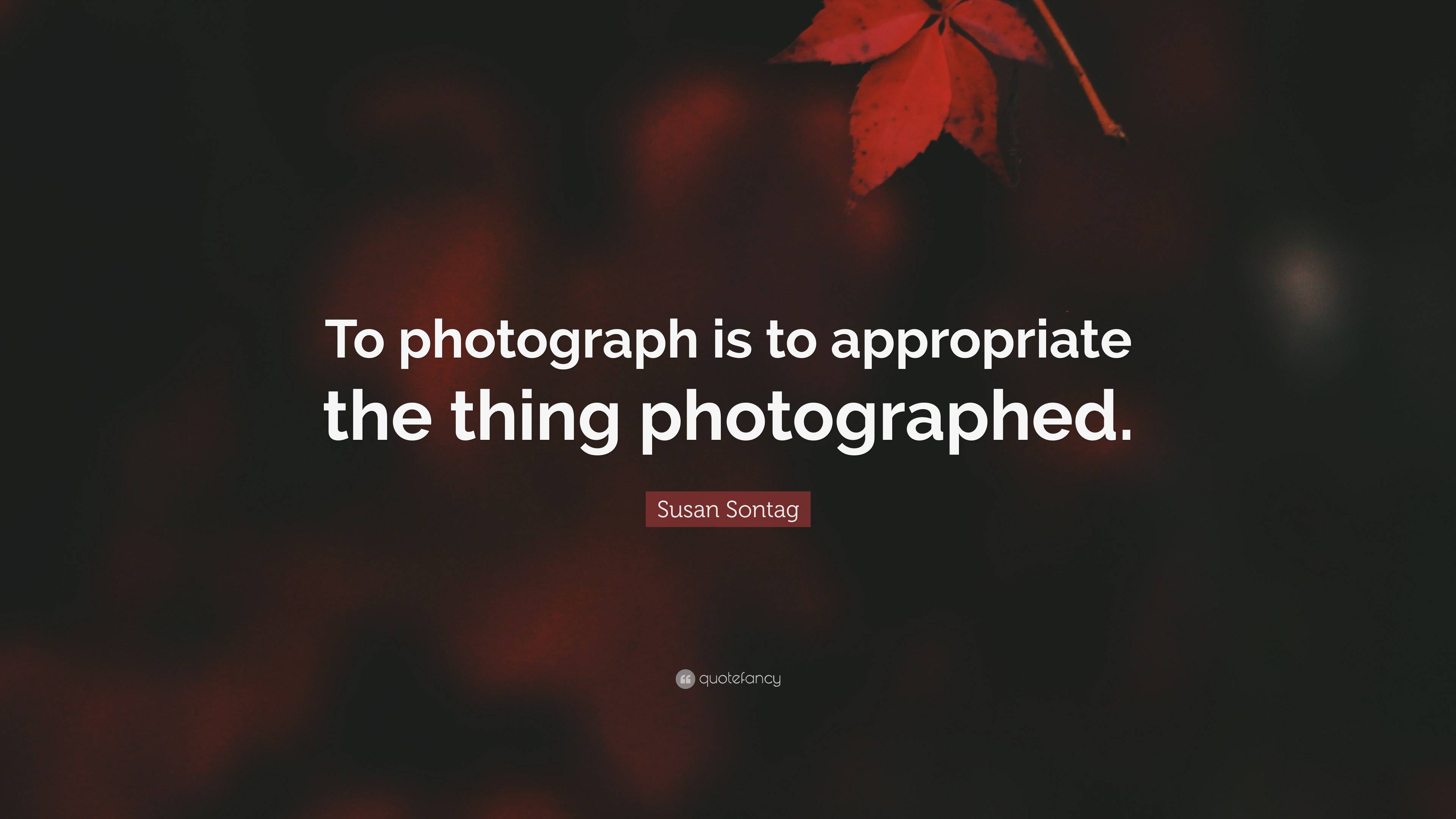 Susan Sontag Quote: “To photograph is to appropriate the thing photographed.” (2 wallpaper)