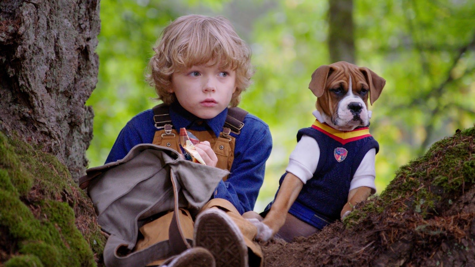 Pup Academy From Air Bud Entertainment Coming to Disney Channel This August