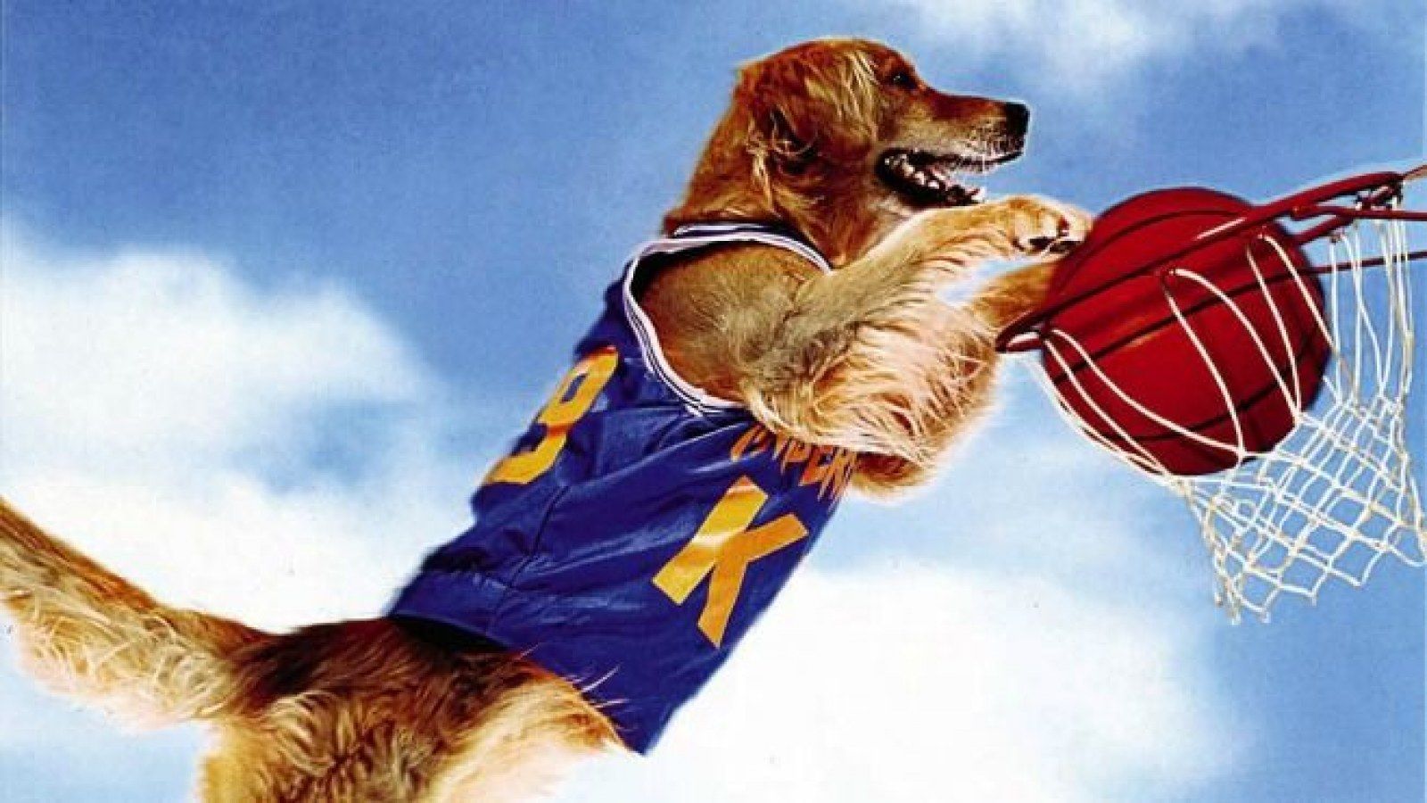 Air Bud' Came Out 20 Years Ago, So We Tracked Down the Director and Made Him Explain Everything