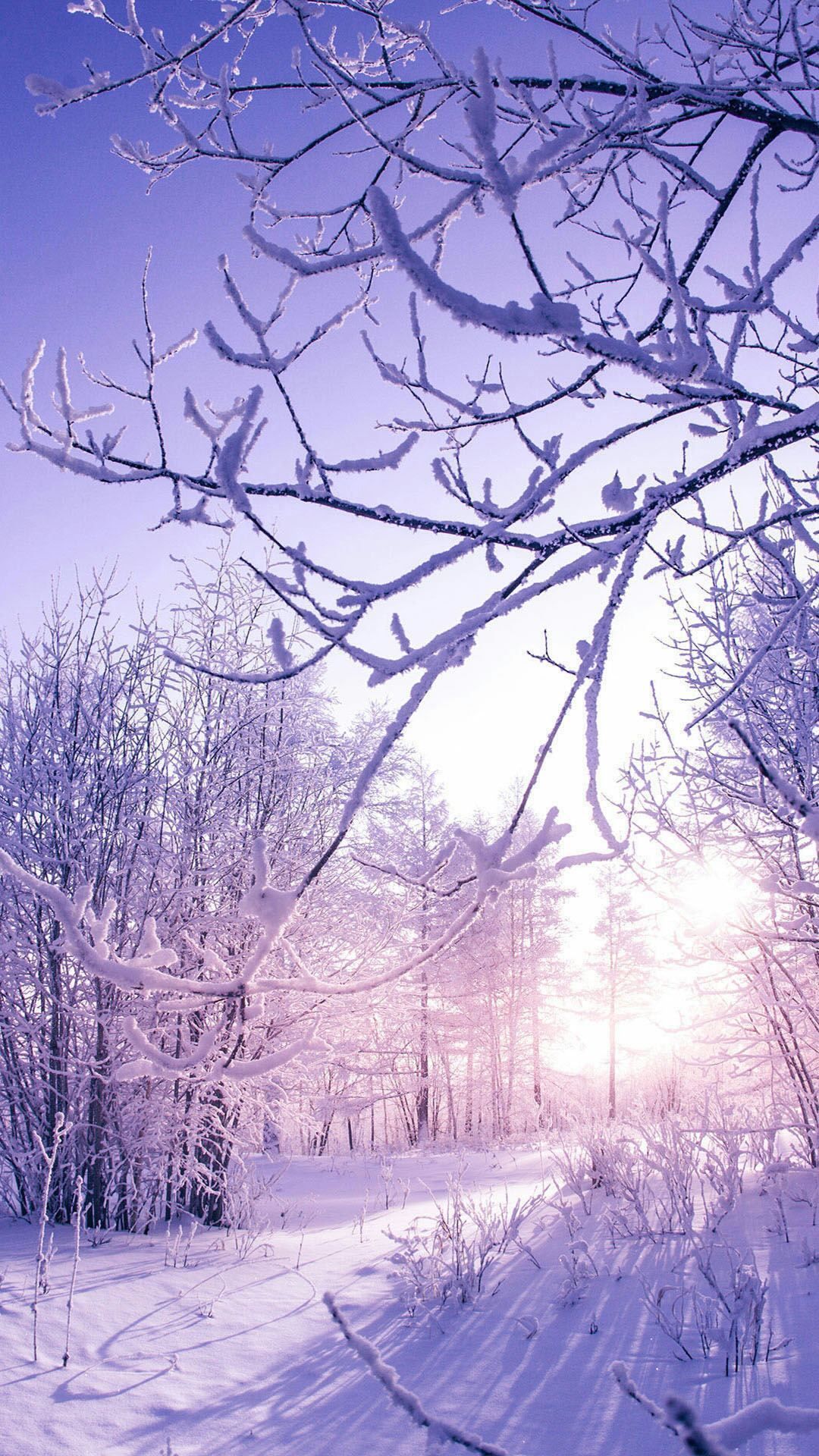 wallpaper smart Phone. Winter wallpaper, Winter landscape, Winter scenery