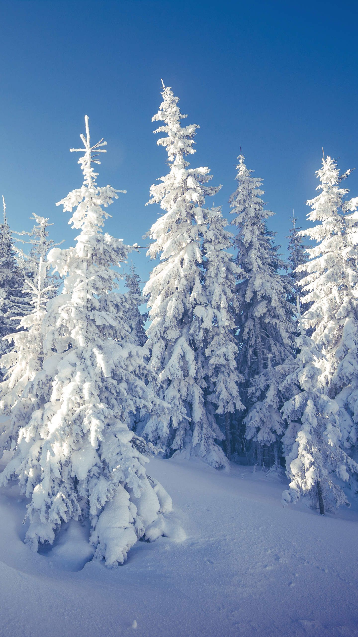 Huawei Magazine Wallpaper 117 - [1440x2560]