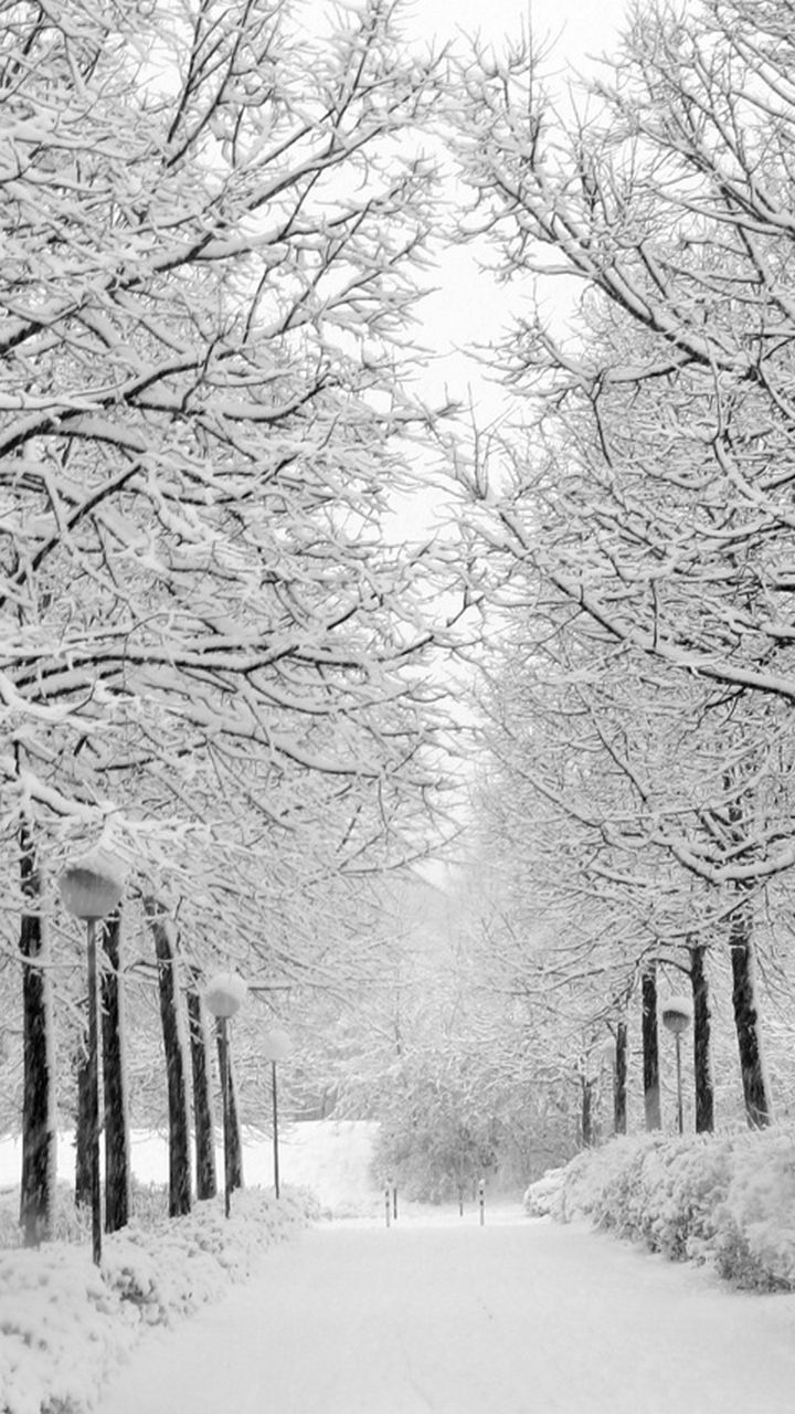 Winter White Tumblr Wallpaper