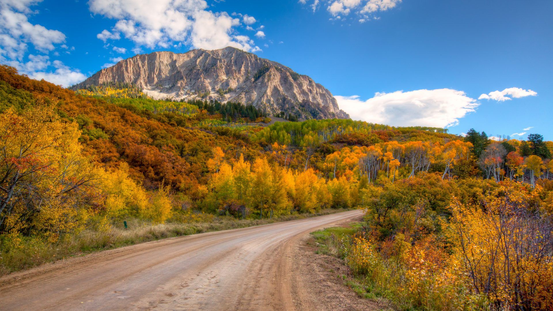 Deciduous Trees In Fall Fall In Kebler Pass Mountain Pass In Colorado Us American Forests Full HD Wallpaper 5719x3217, Wallpaper13.com