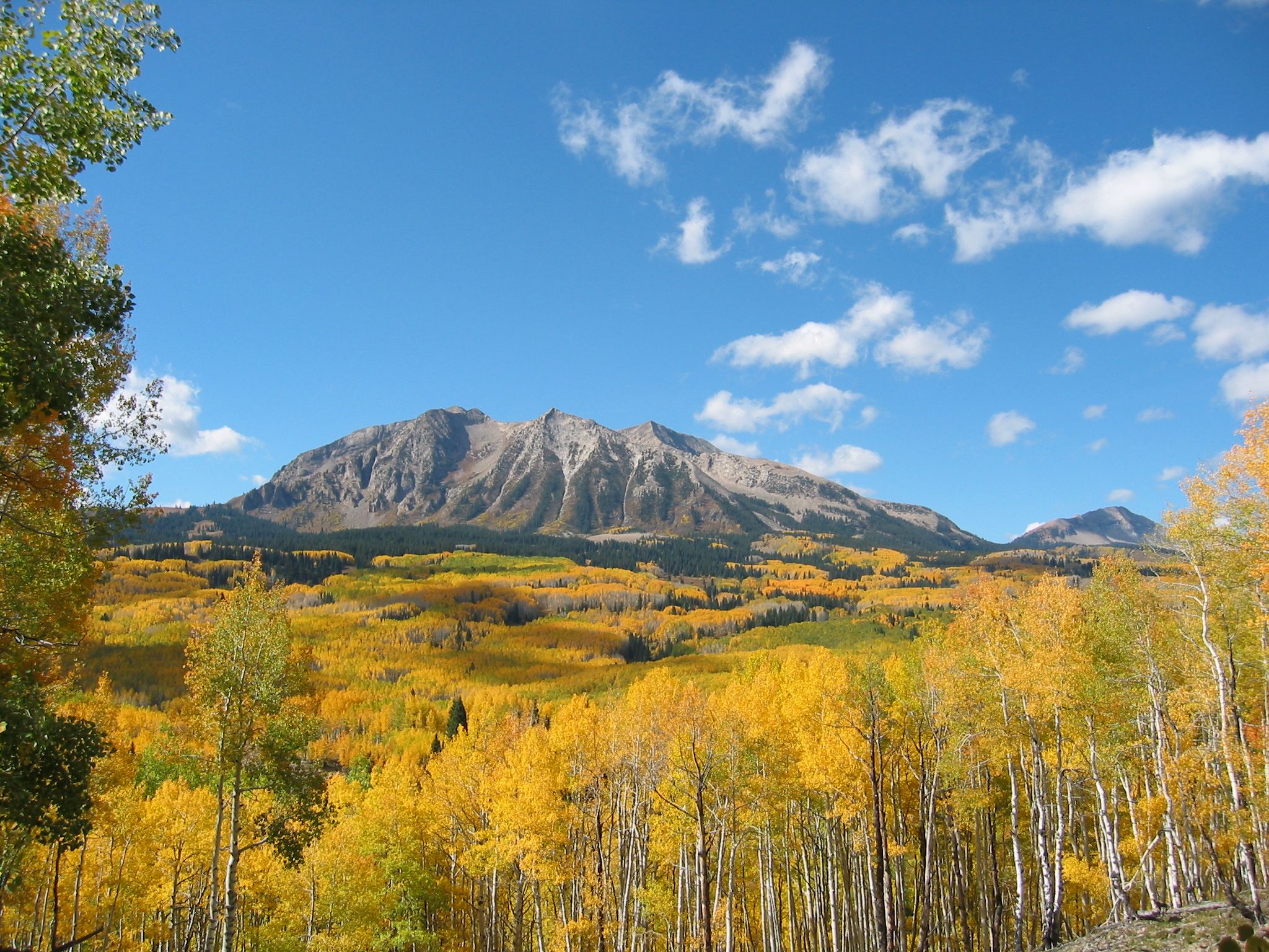 Kebler Pass Fall Wallpaper