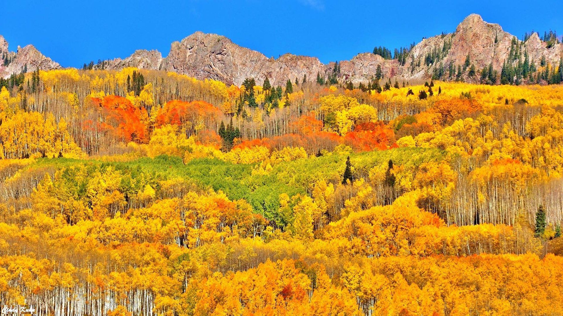 Sam Schreier worked forever on this story, mostly just trying to track down the photo. Here's a complete guide (locations and photo) to seeing Fall colors in Colorado this year!