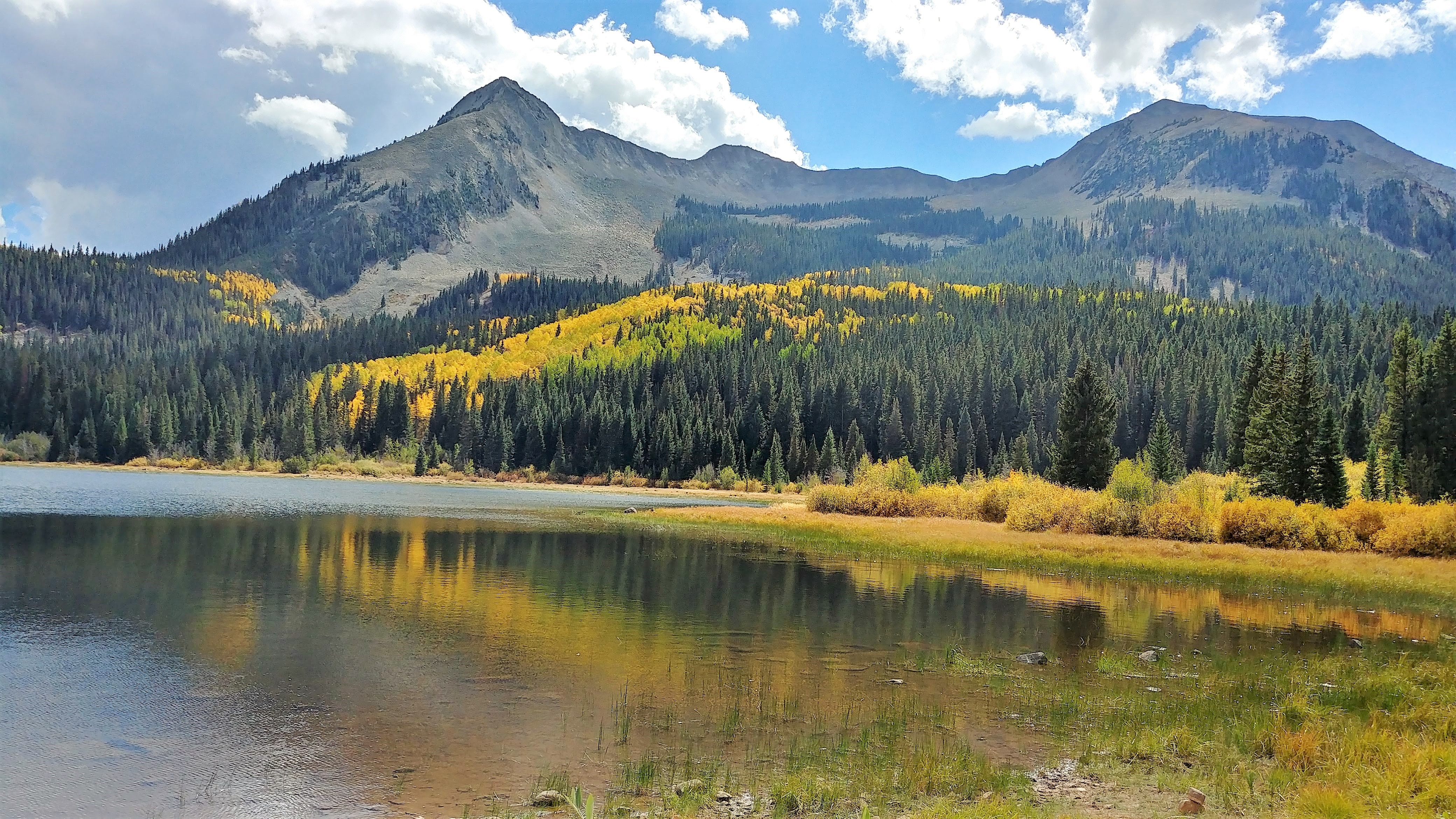 Lost Lake to reopen after aggressive bear is euthanized