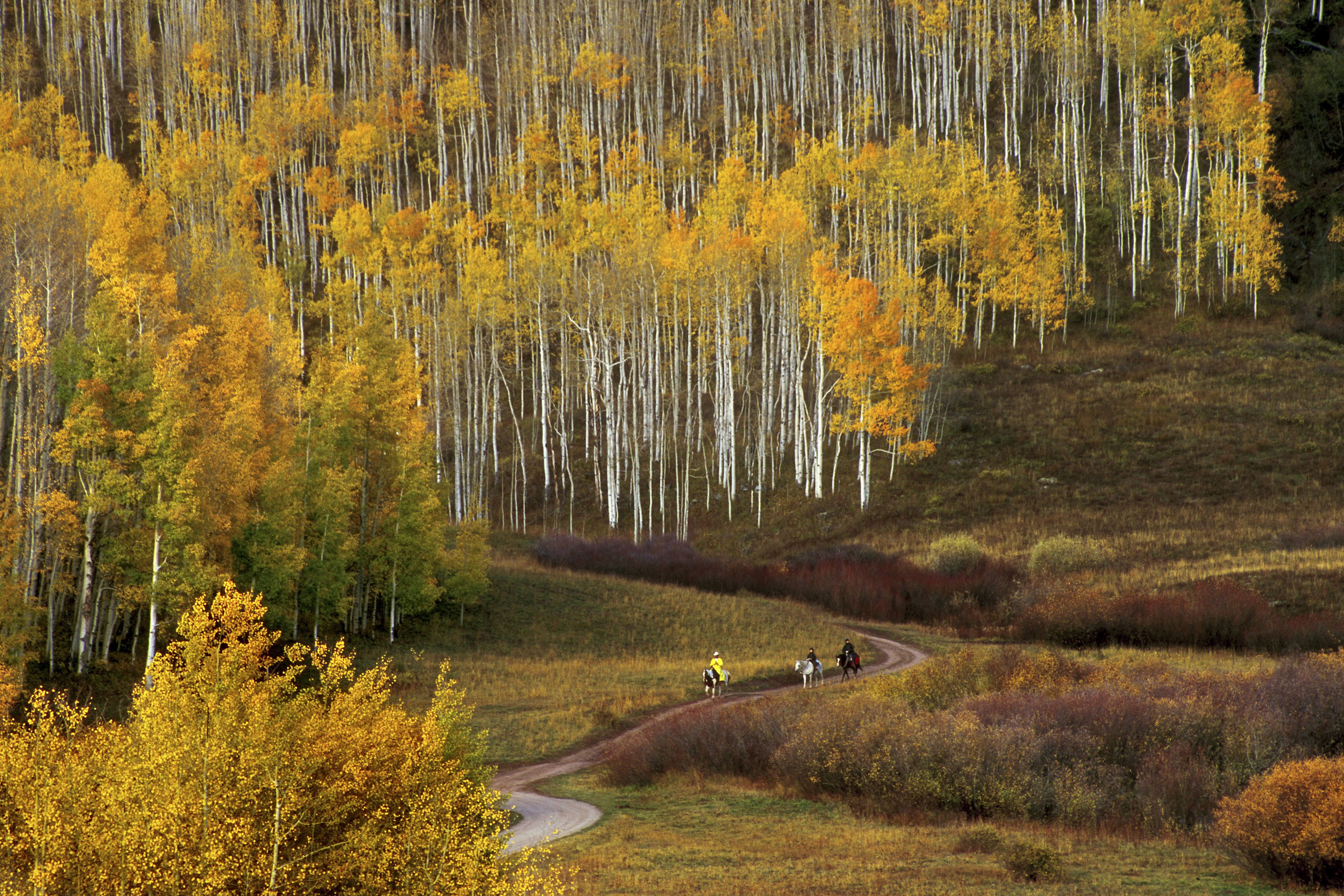 Fall color guide: Best hikes and drives in Colorado
