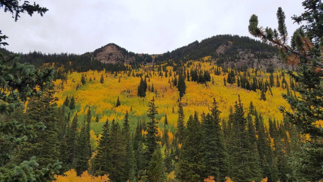 GREAT places to see the fall colors in Colorado right now including Kenosha Pass, Guanella Pass