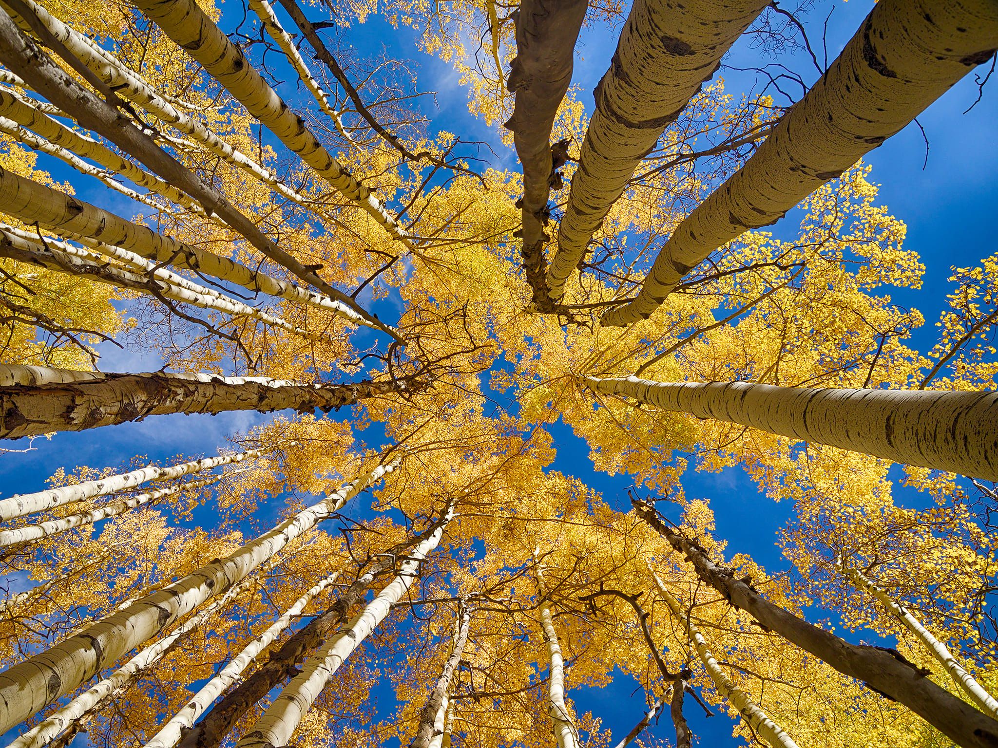 Another Autumn Journey