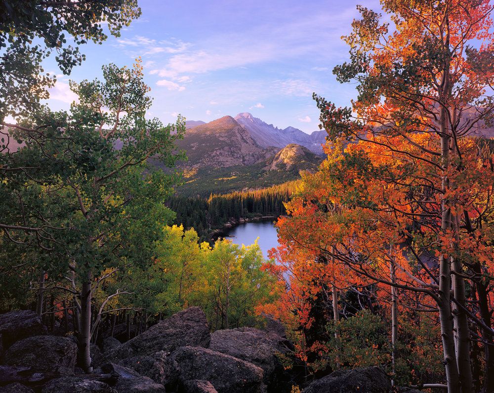 Aspen