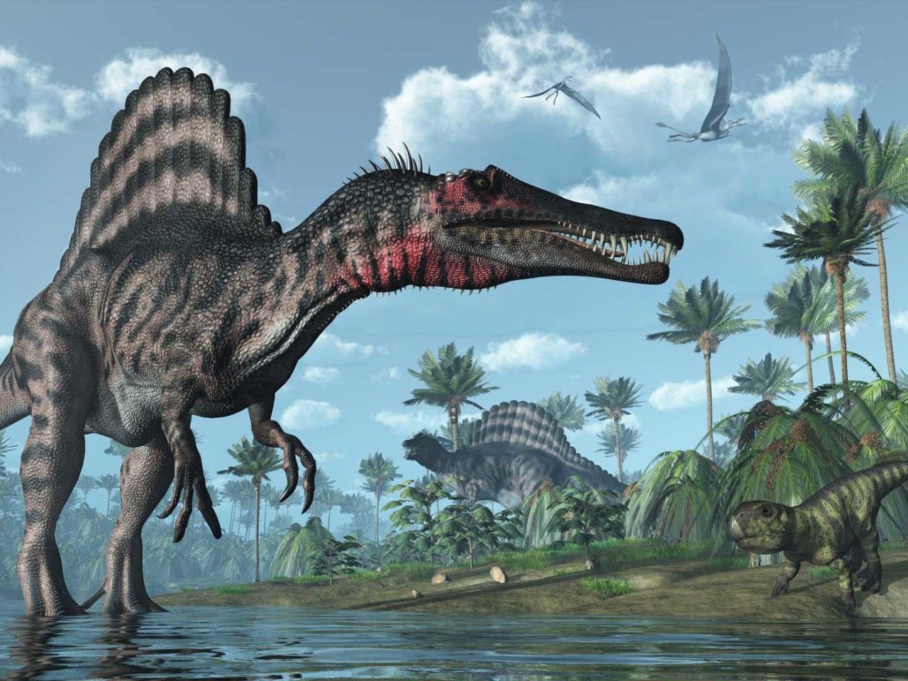 Spinosaurus Swam! How a Swimming Spinosaurus Fits Scripture. Spinosaurus, Prehistoric creatures, Dinosaur wallpaper