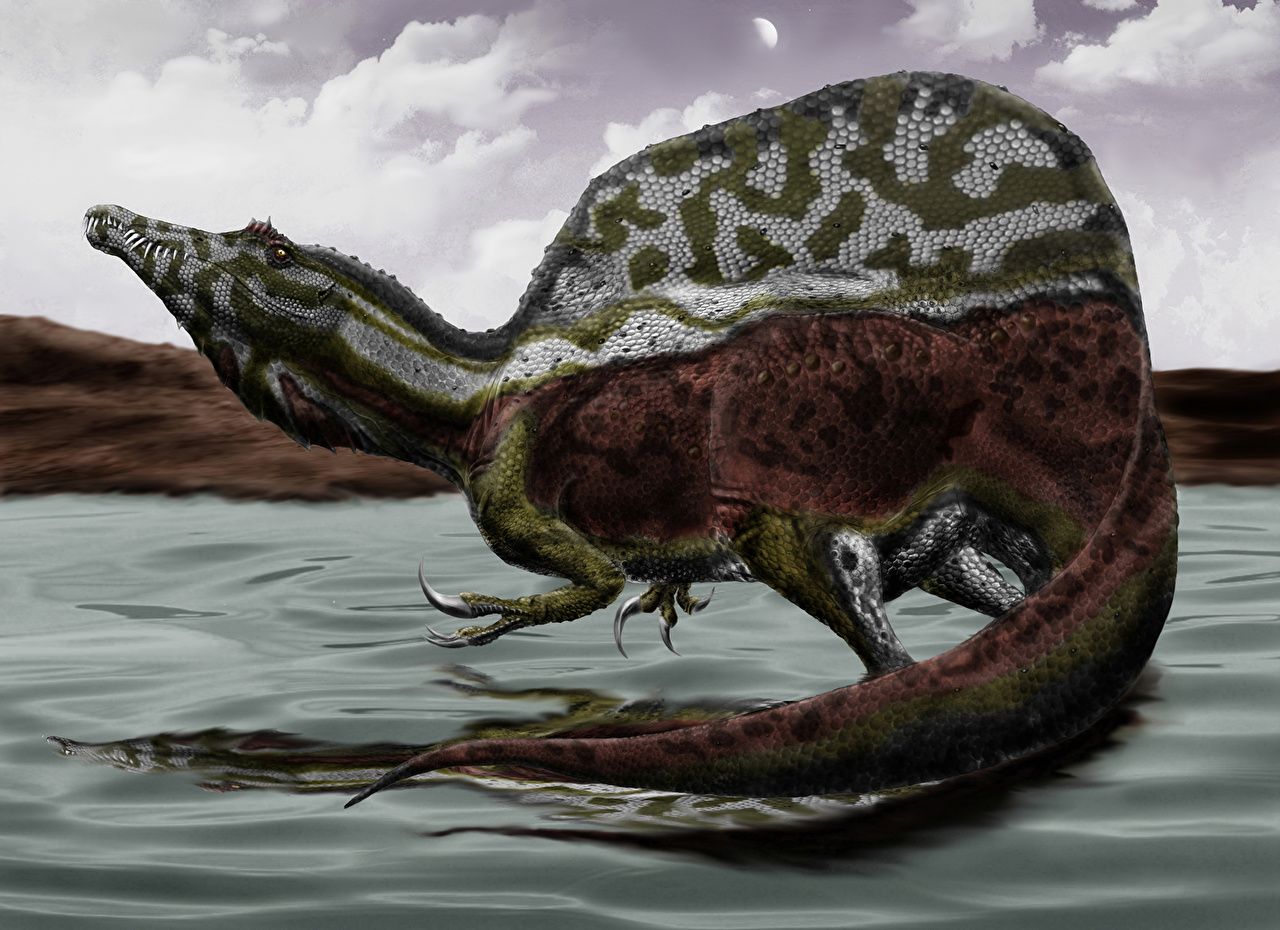 Desktop Wallpaper Dinosaurs Spinosaurus animal Ancient animals