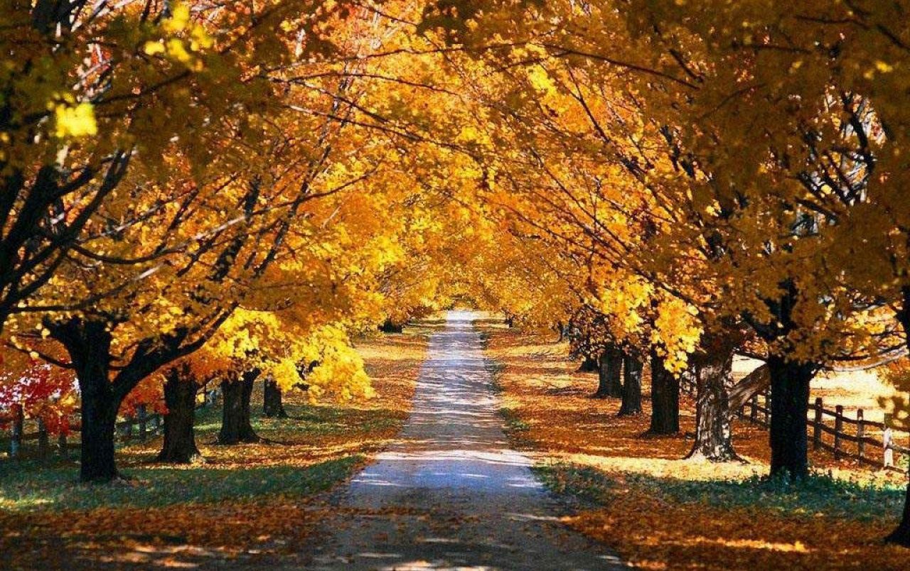 Autumn road wallpaper. Autumn road