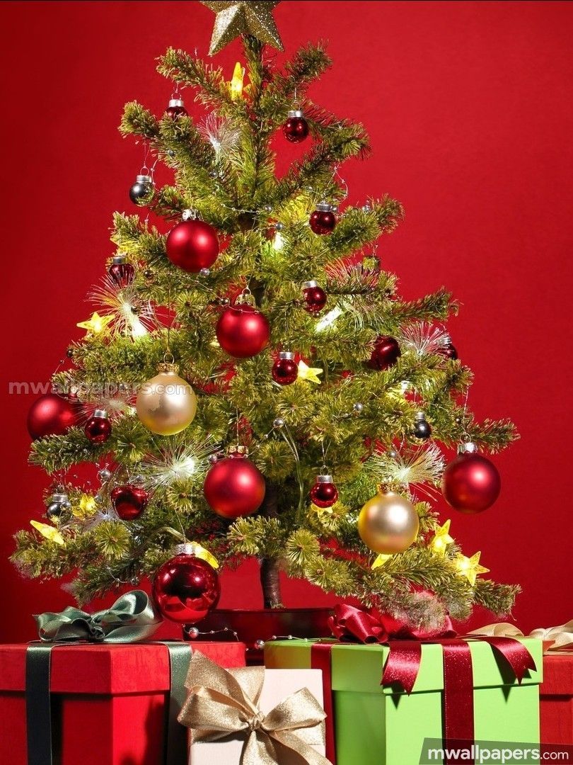 Christmas HD Photo Wallpaper 1080p 12821 Christmas Tree With Presents Wallpaper & Background Download