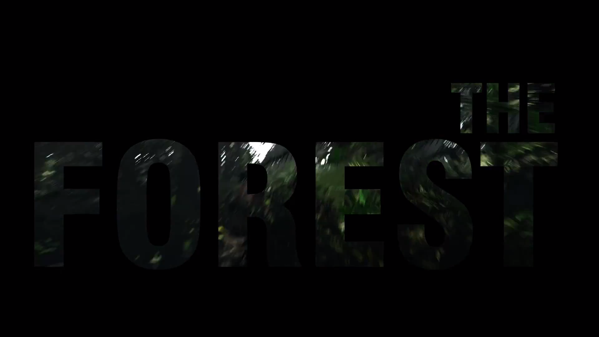 Video Game The Forest Wallpaper:1920x1080